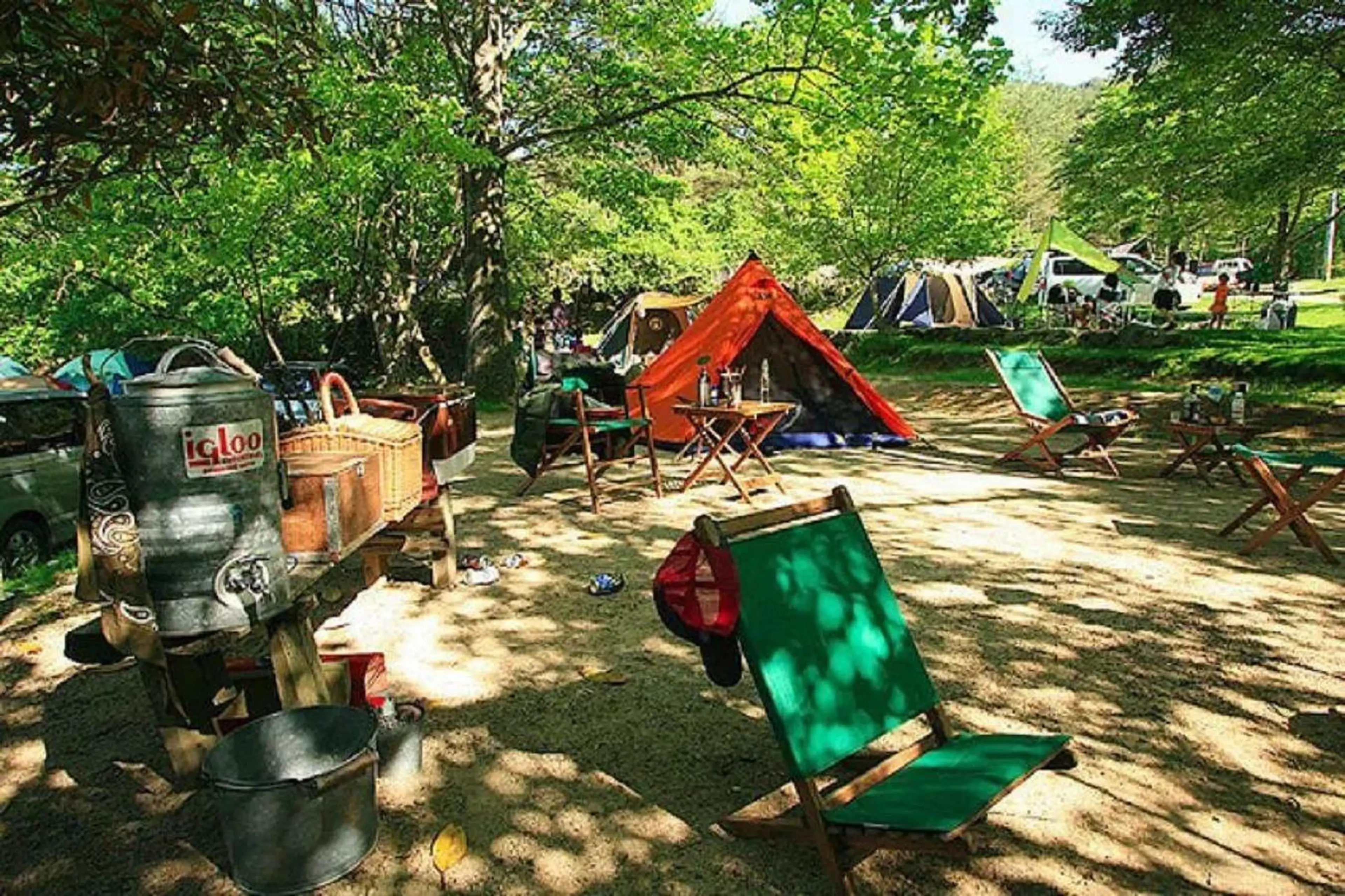 関西 の 川遊び