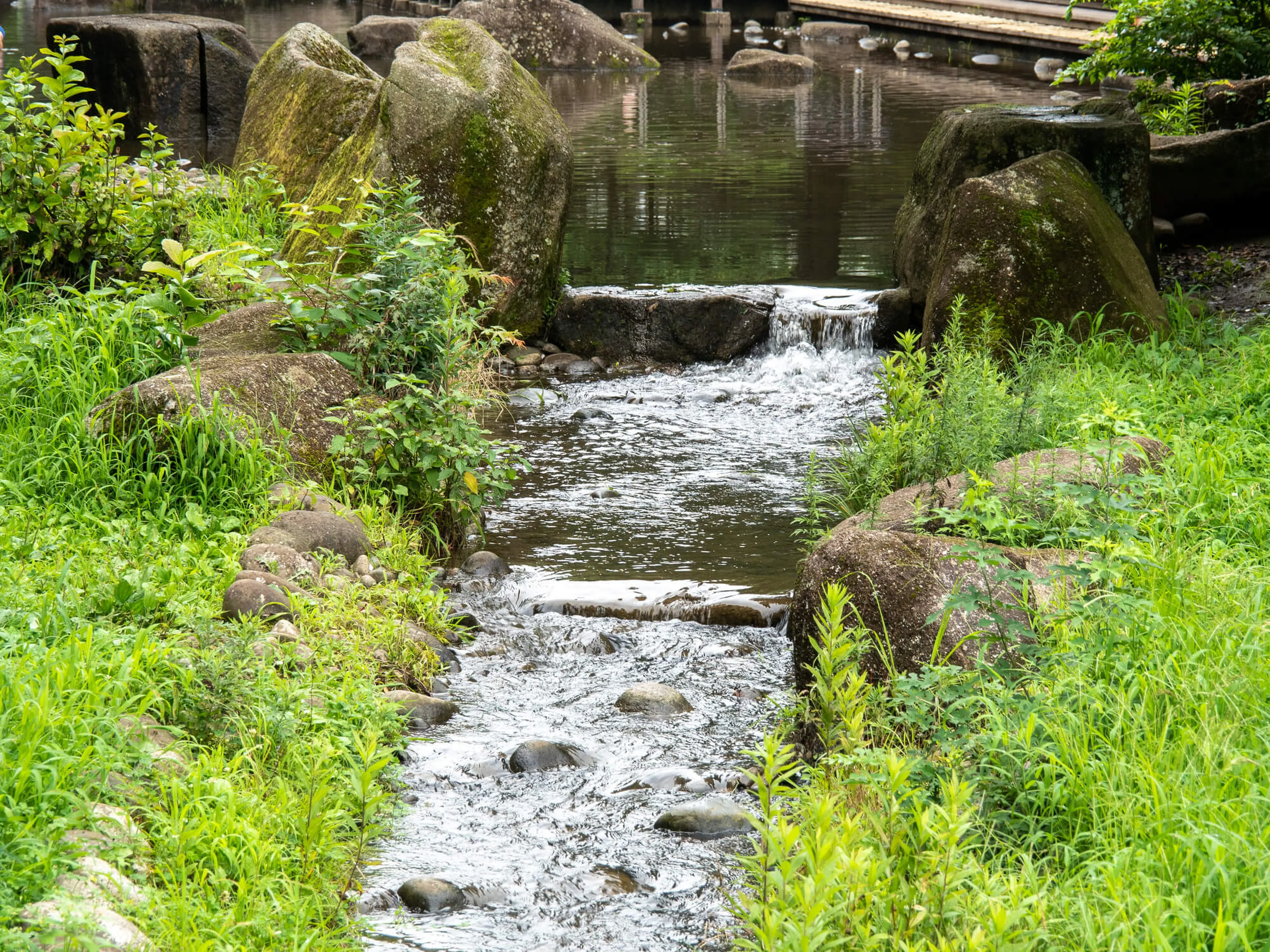 公園 水遊び 千葉