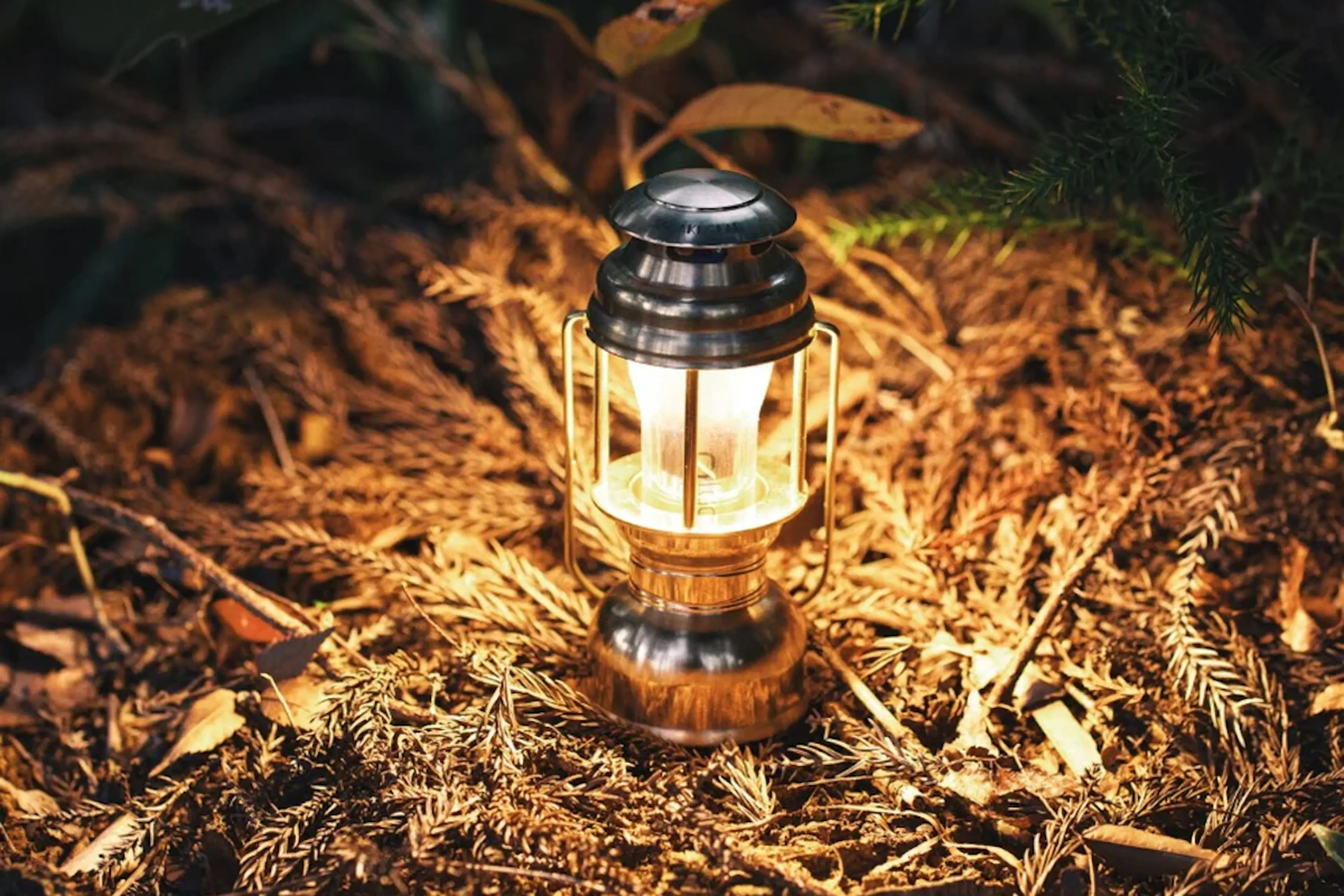 名もなきランタン暁 (真鍮)日本限定ベージュカラーゴールゼロ付 【次