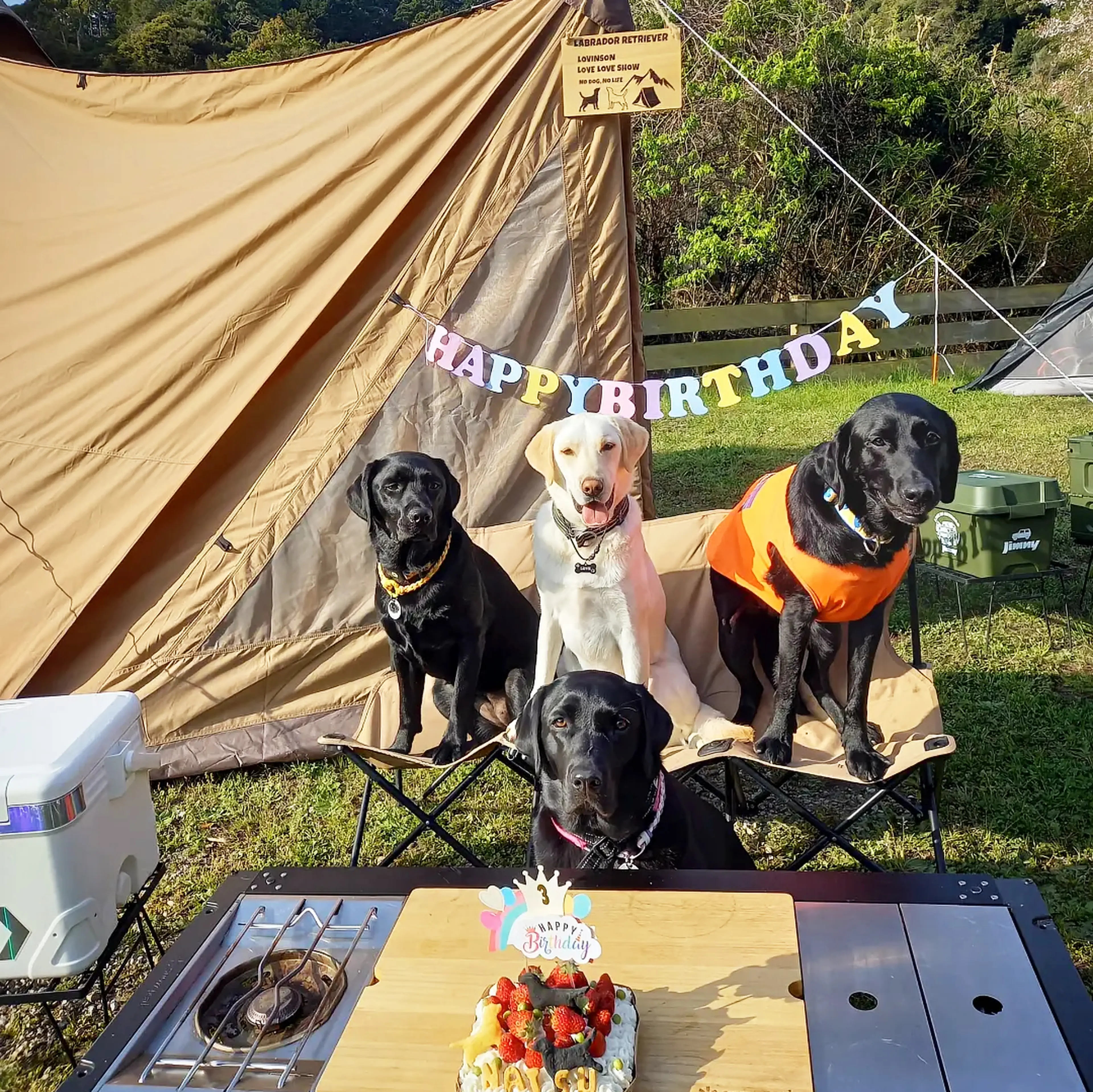 軽量 「ケイナイン キャンプ」犬と風景のアートフレーム　ラブラドール ラブラドールレトリーバーとキャンプ】気は優しくて力持ち！バディ感が