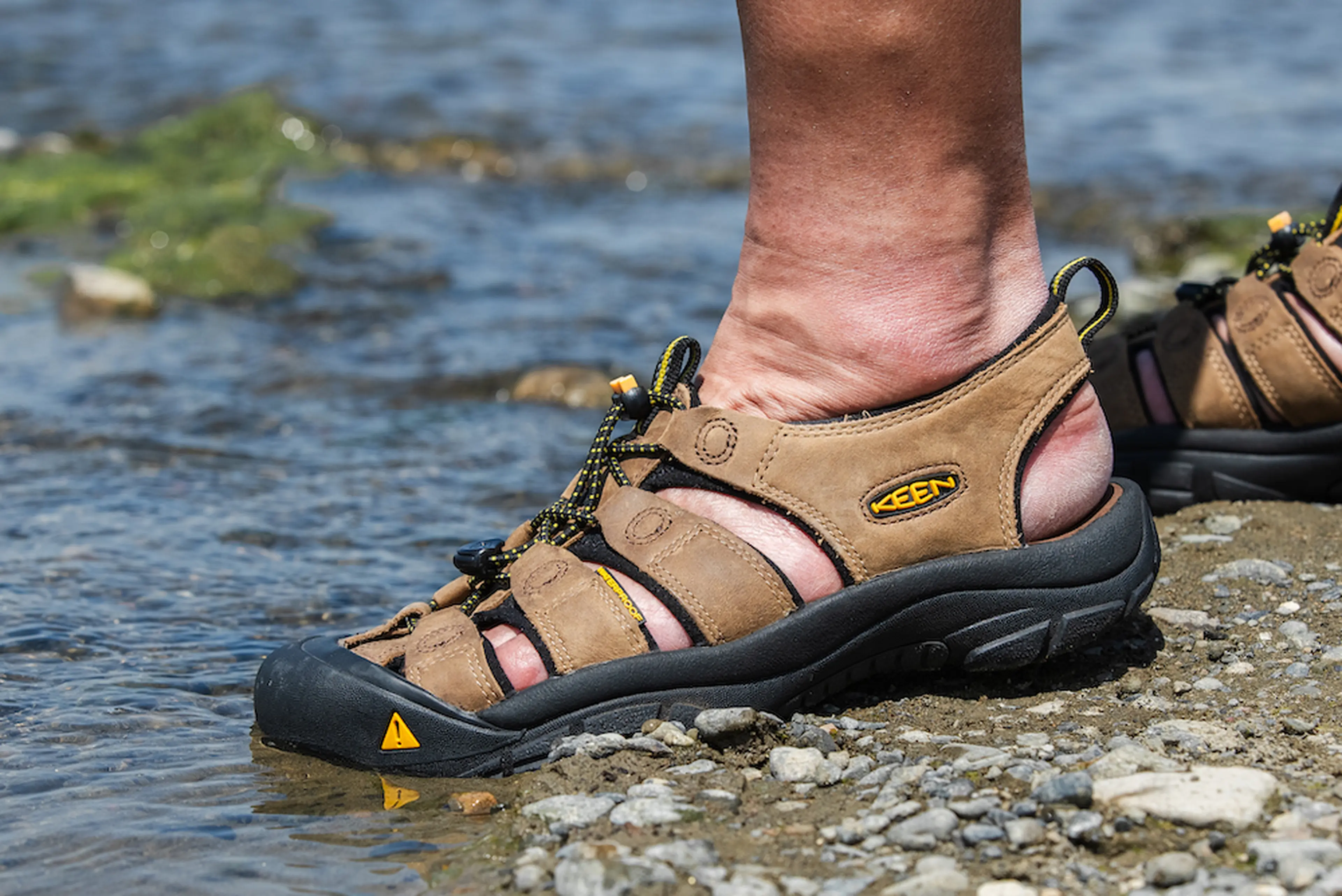 徹底レビュー】KEEN(キーン)のニューポート！使用感やニュー
