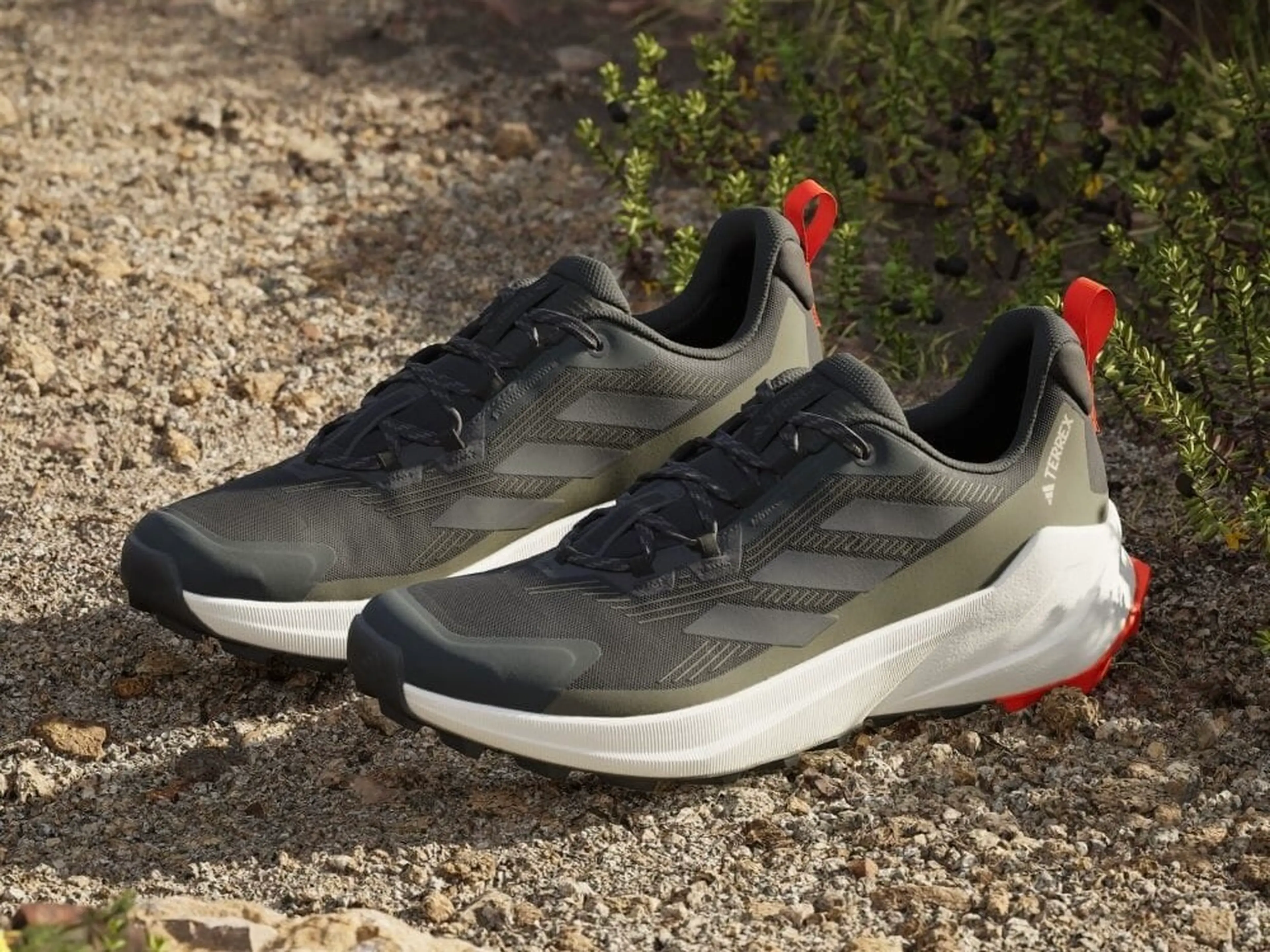 THE NORTH FACE(ザ ノースフェイス) ノースフェイス メンズ THE NORTH FACE(ザ ノースフェイス) ノースフェイス メンズ