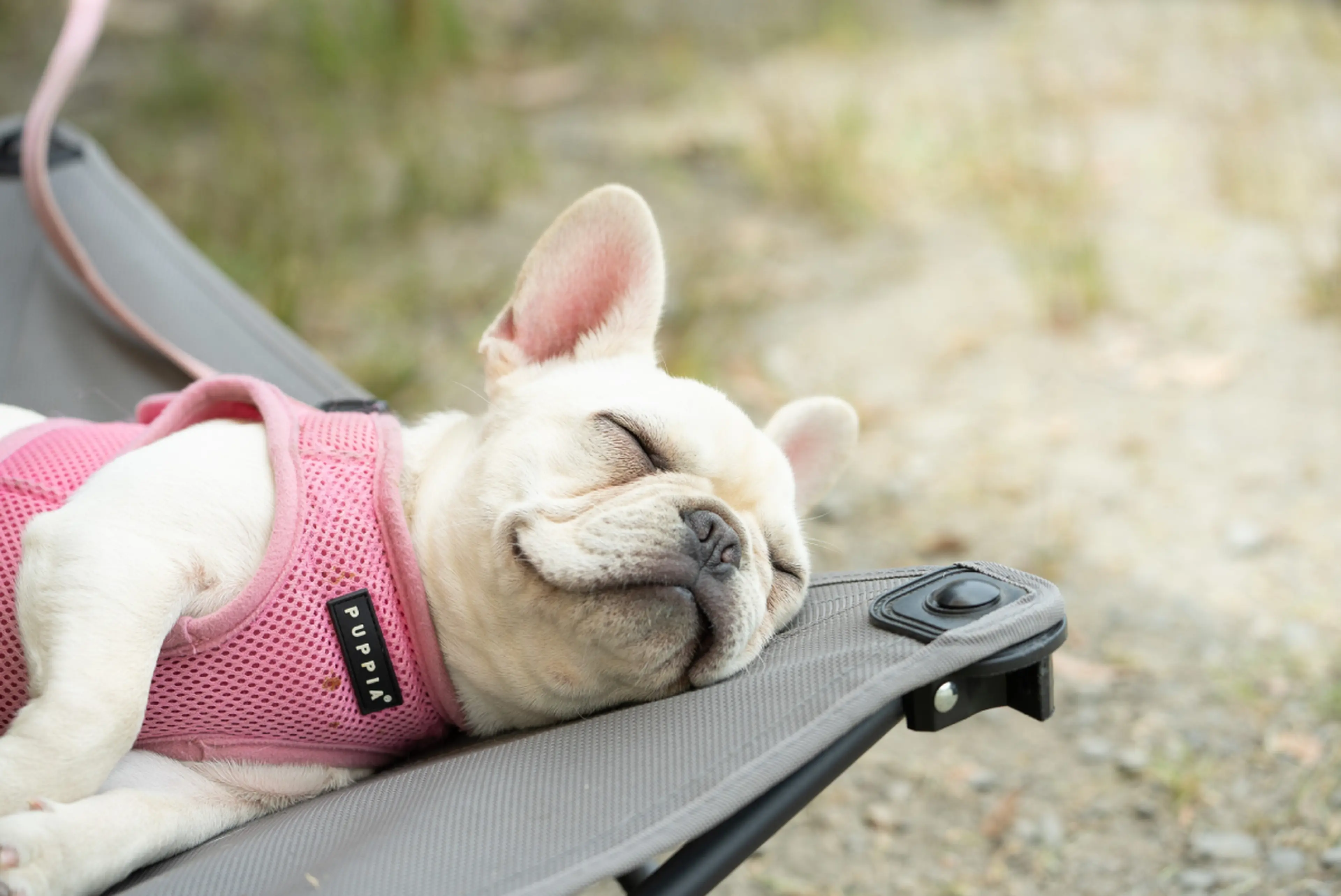 ティムキャンピー　ポップトップ　ストーン　プルタブ ティムキャンピー ストーン付き プルタブ ポップトップ ペンダント