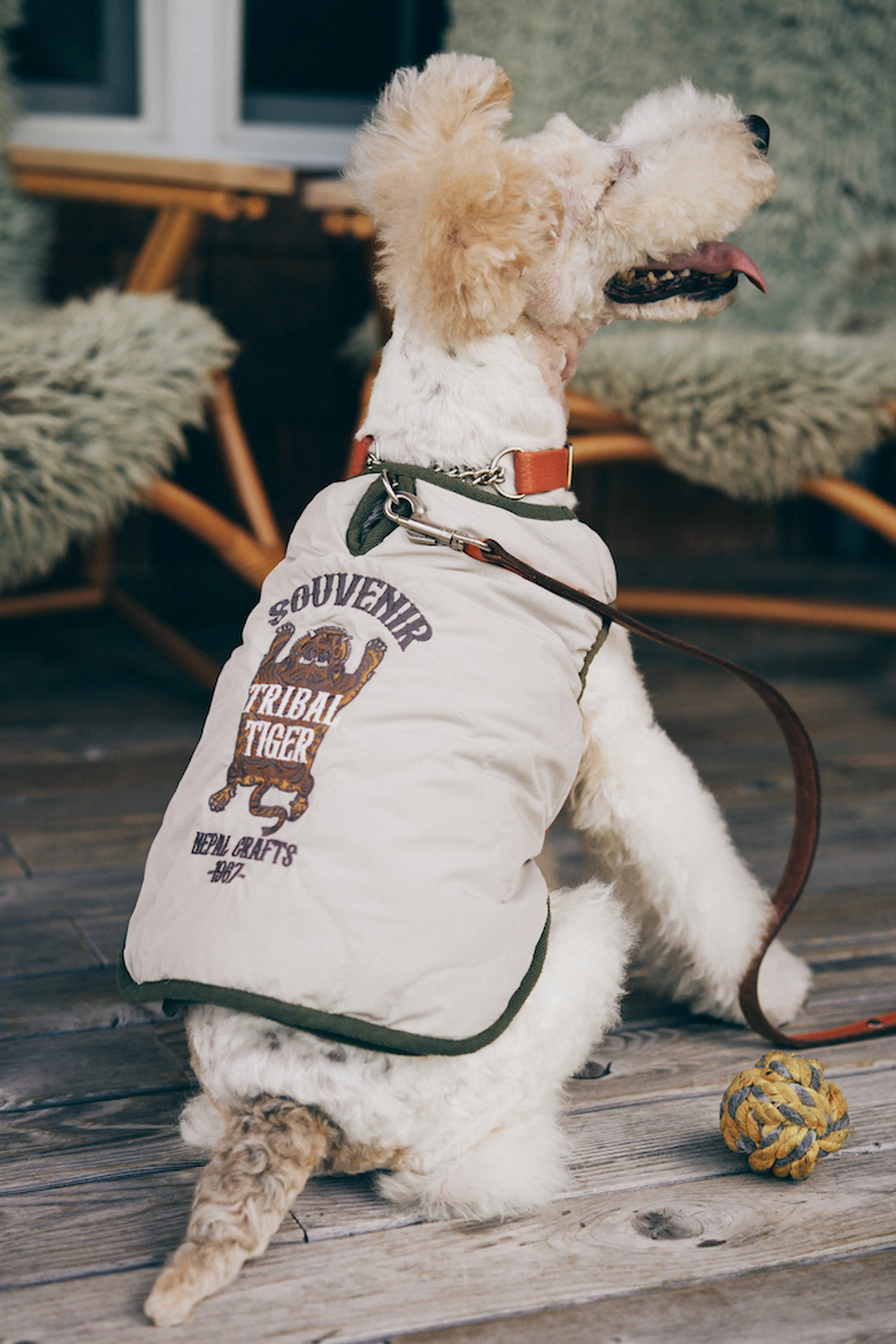 愛犬とリンクコーデ！話題のクリフメイヤーから新シリーズ登場