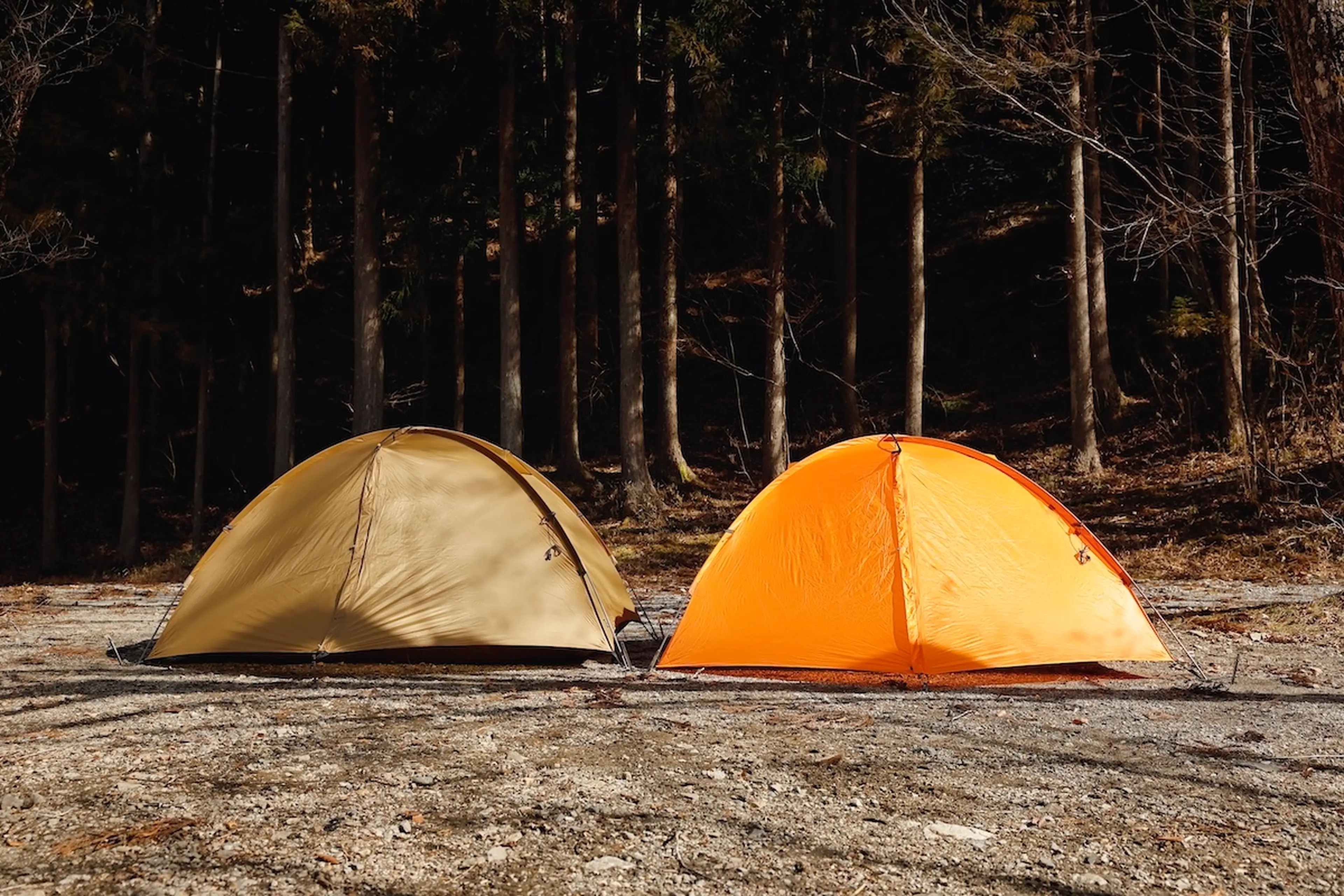 ザ フリースピリッツ別注】人気テントを「特別カラー」に。あなたの