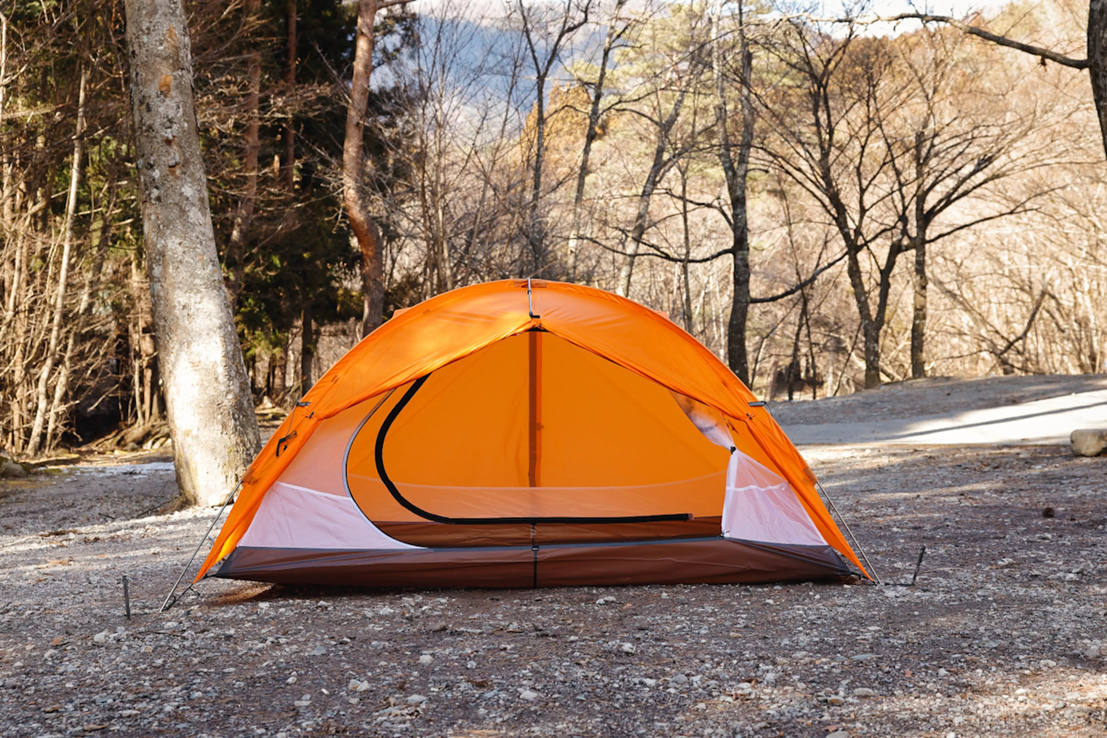イノシシ　shira.aianキャンプギアセット 2025年2月】キャンパーが買ったものランキング「hinataストア編