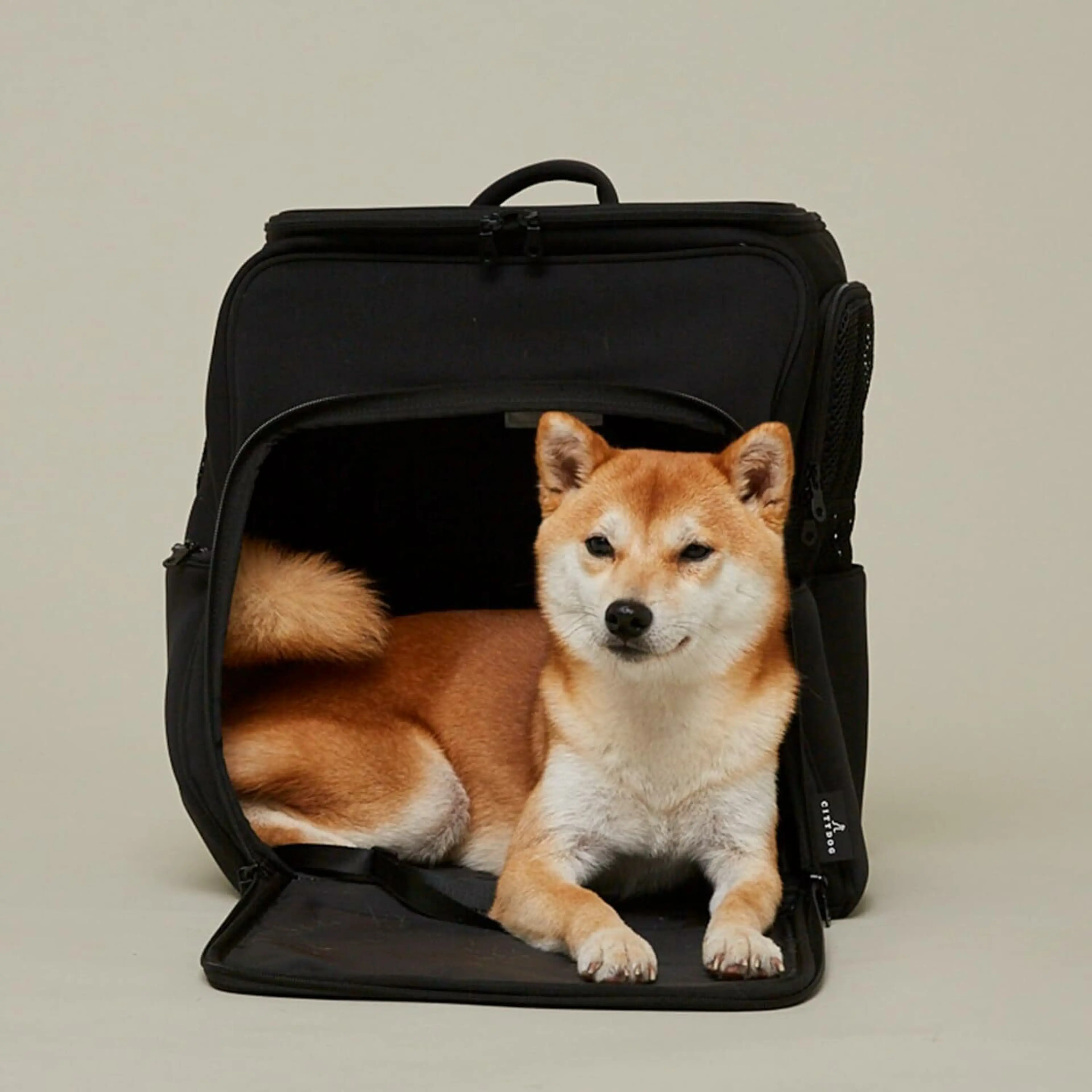 おすすめの中型犬用リュック12選！10〜15kgのワンちゃん向けを紹介
