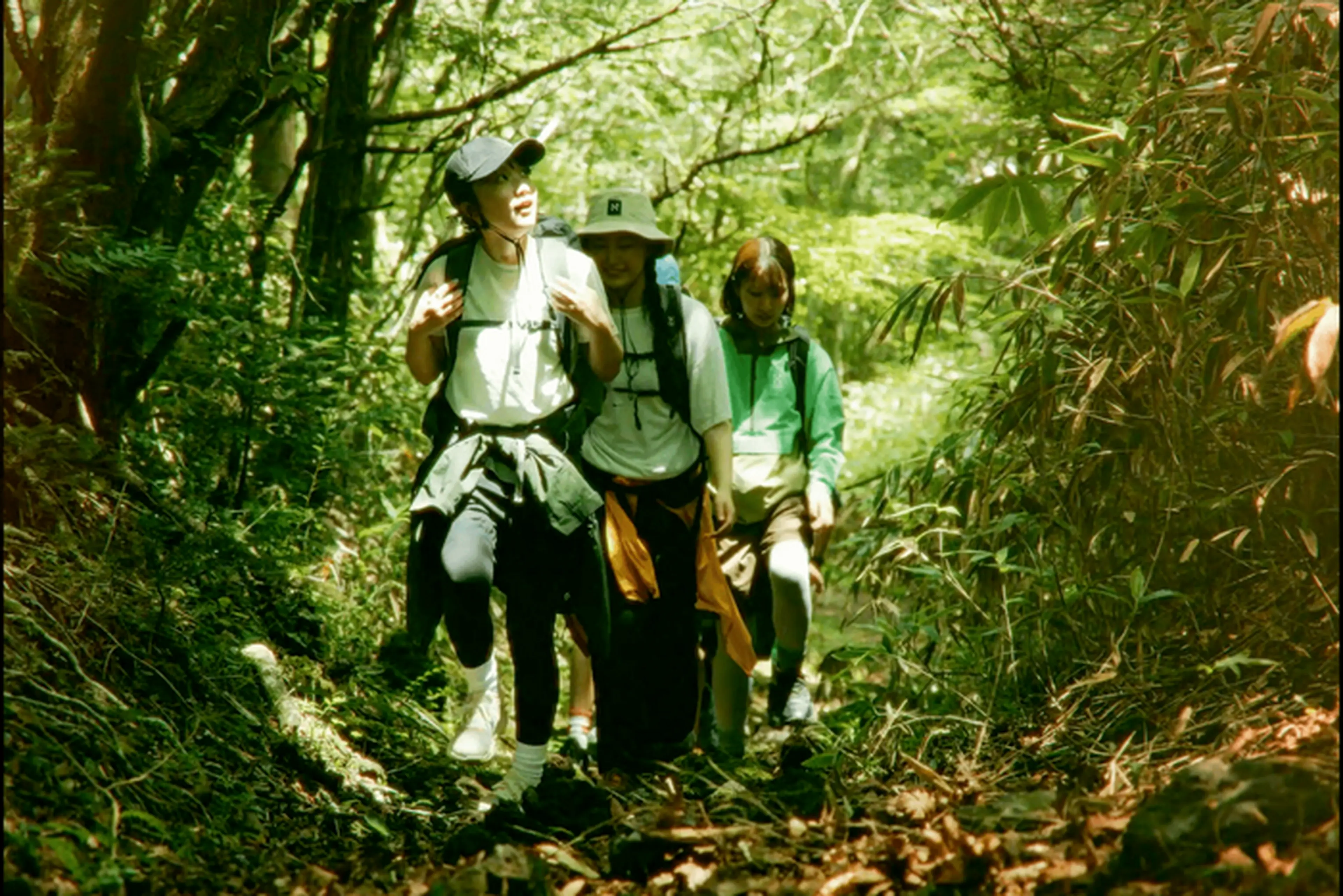 hiking