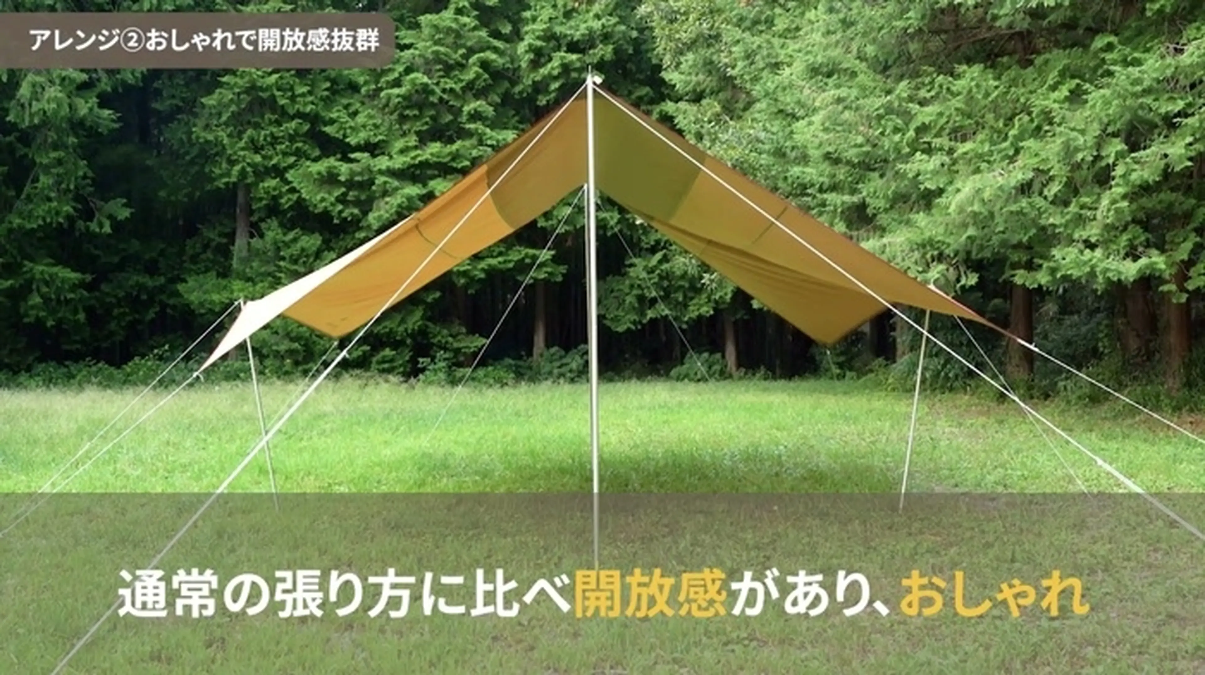 タープアレンジ