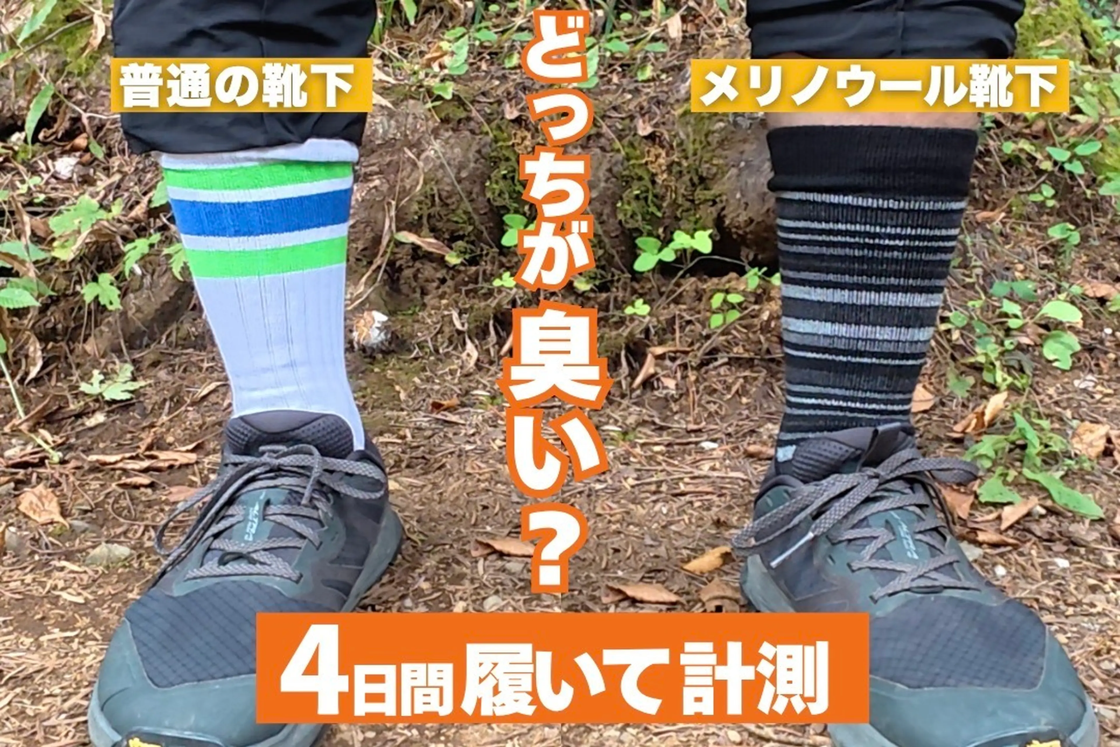 メリノウール靴下