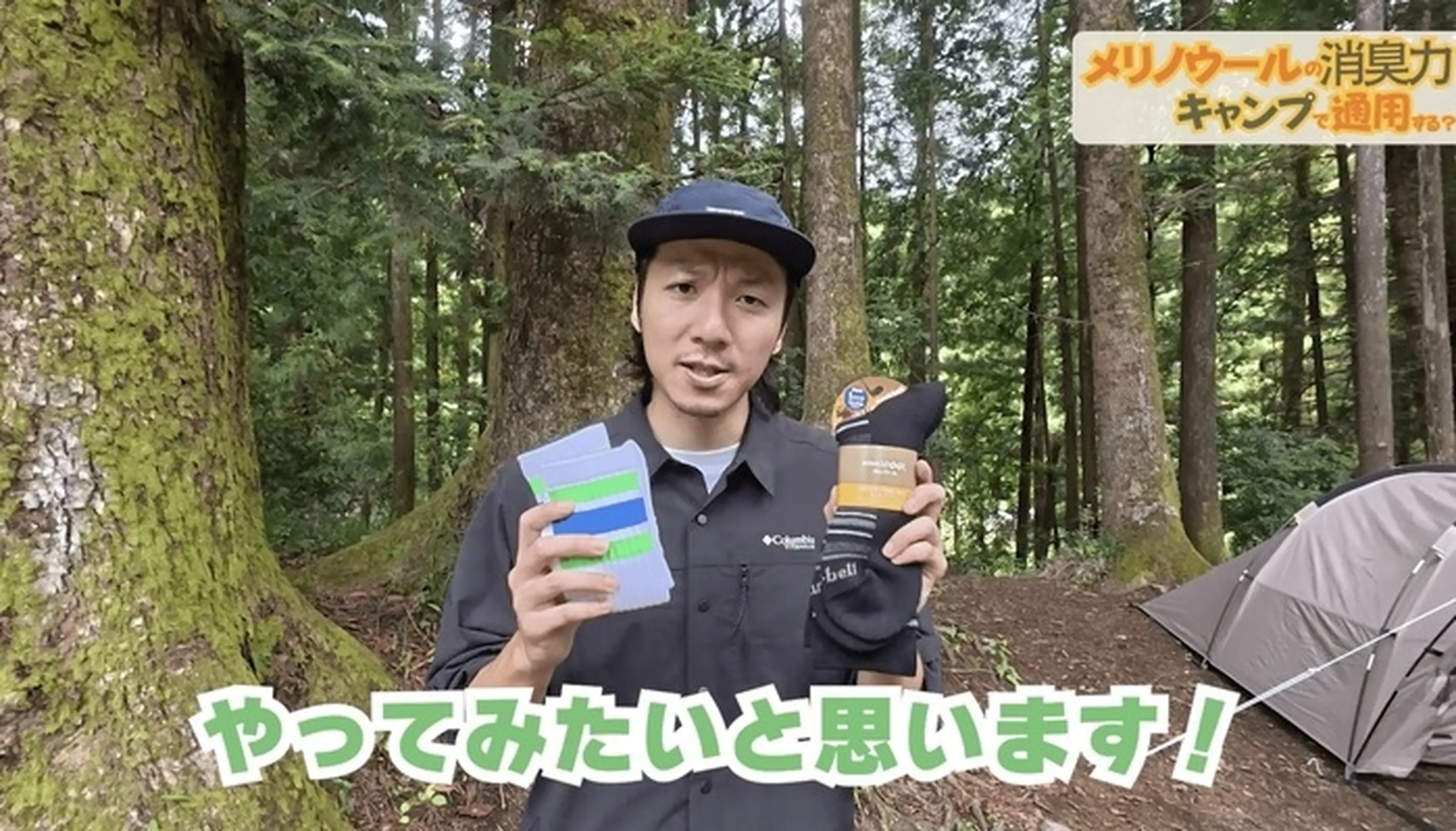 ワトソン検証前