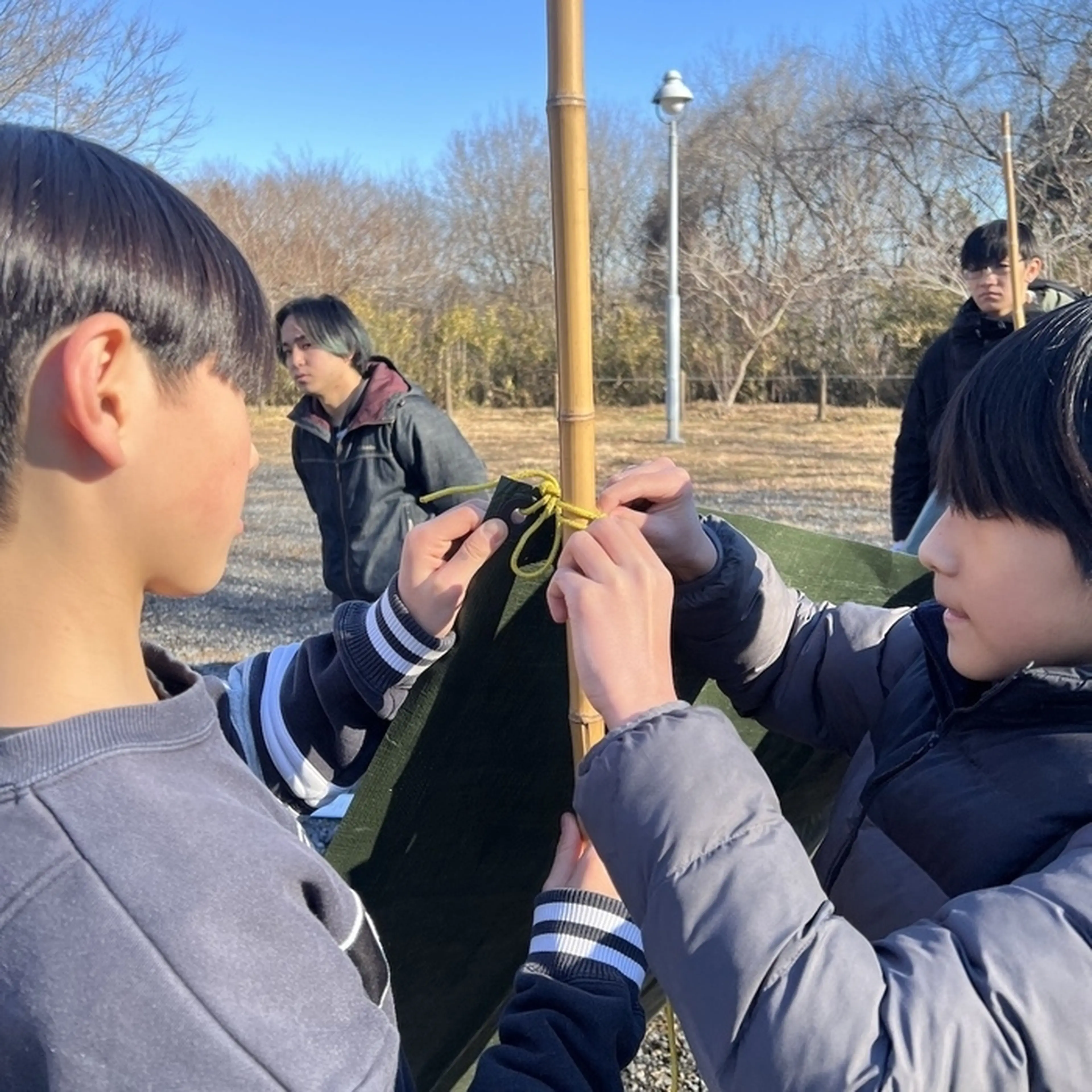 子どもが共同でワークをしている画像