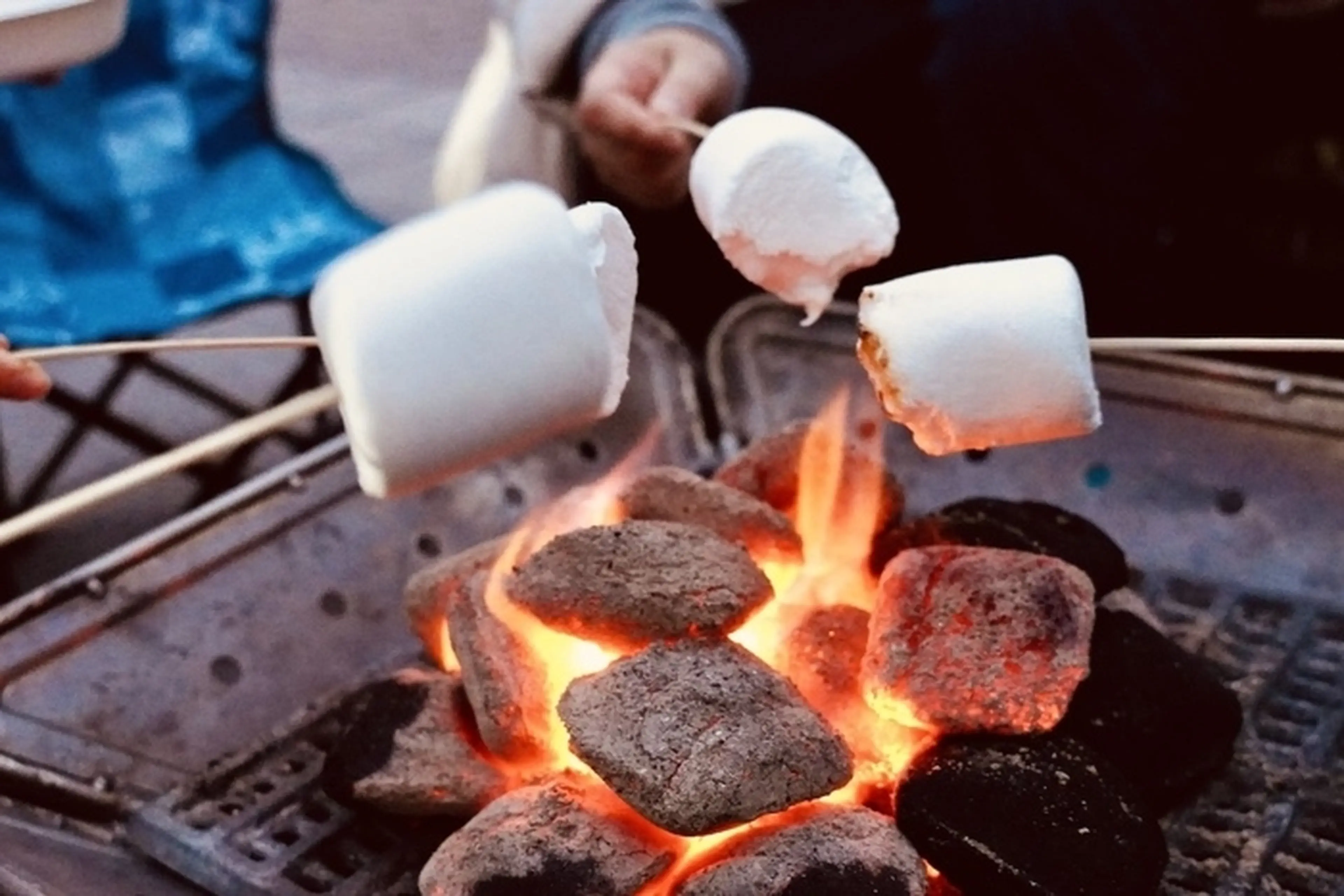 シネマ＆キャンプ