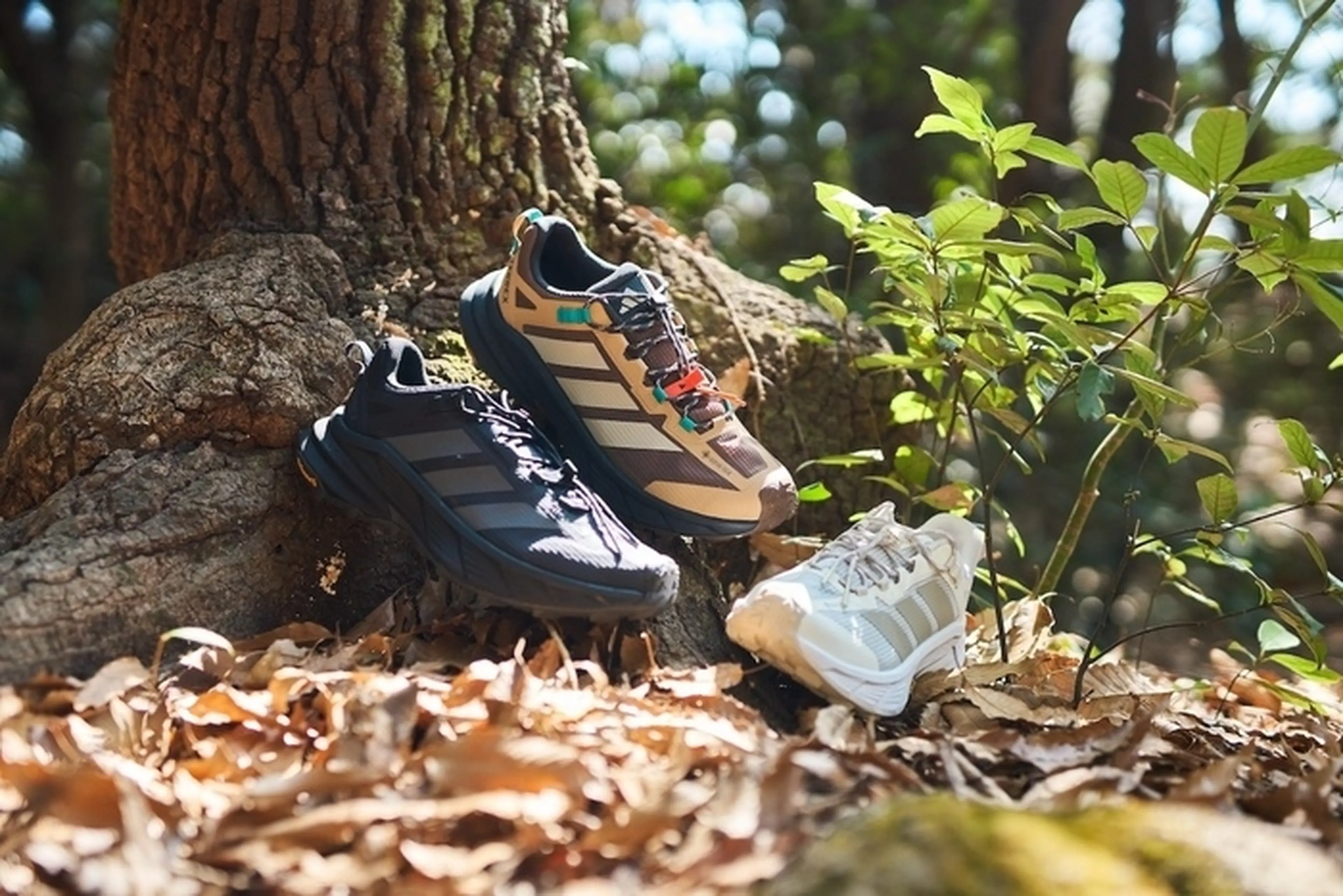 アディダス テレックス フリーハイカー