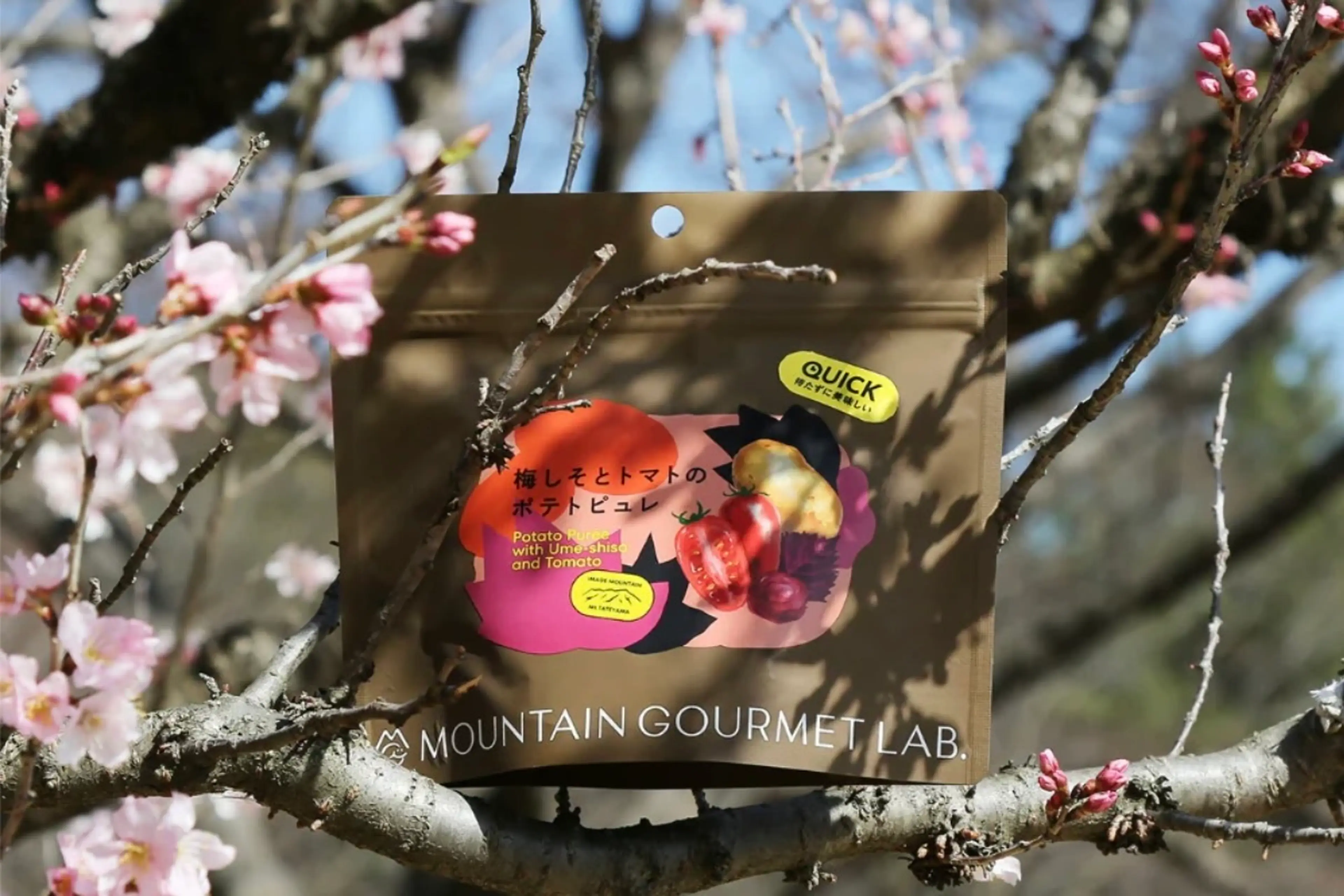 マウンテングルメラボ