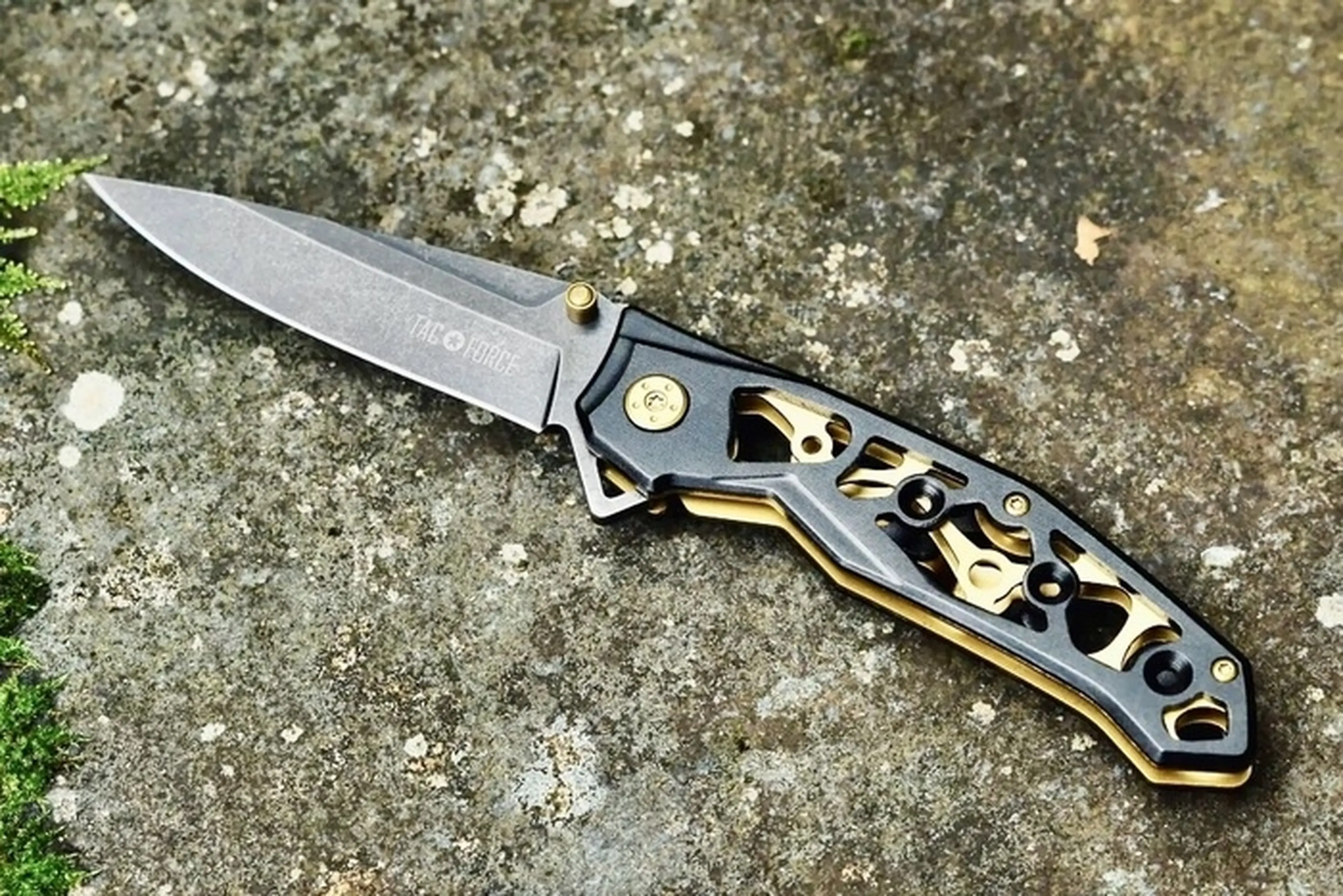 TAC-FORCEの「Cog Knife(コグナイフ)」