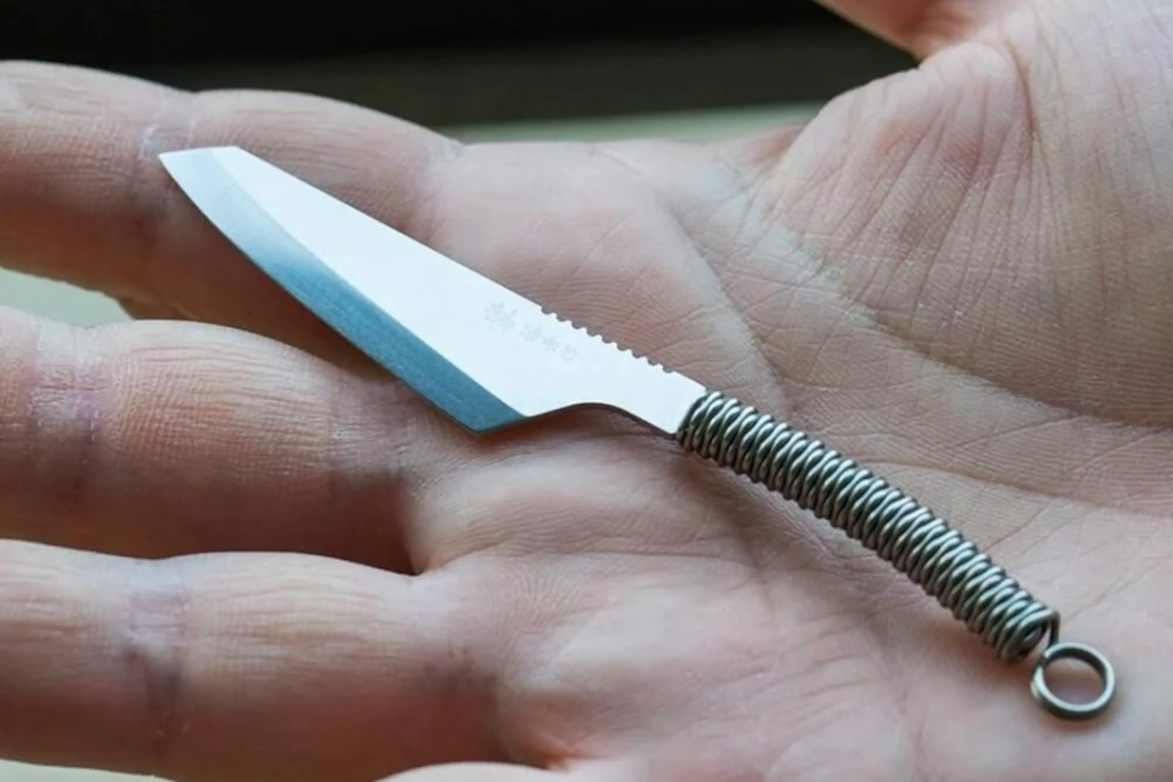 これで肉が切れるの？」たった8gの本格ナイフがすごかった【目利きの 