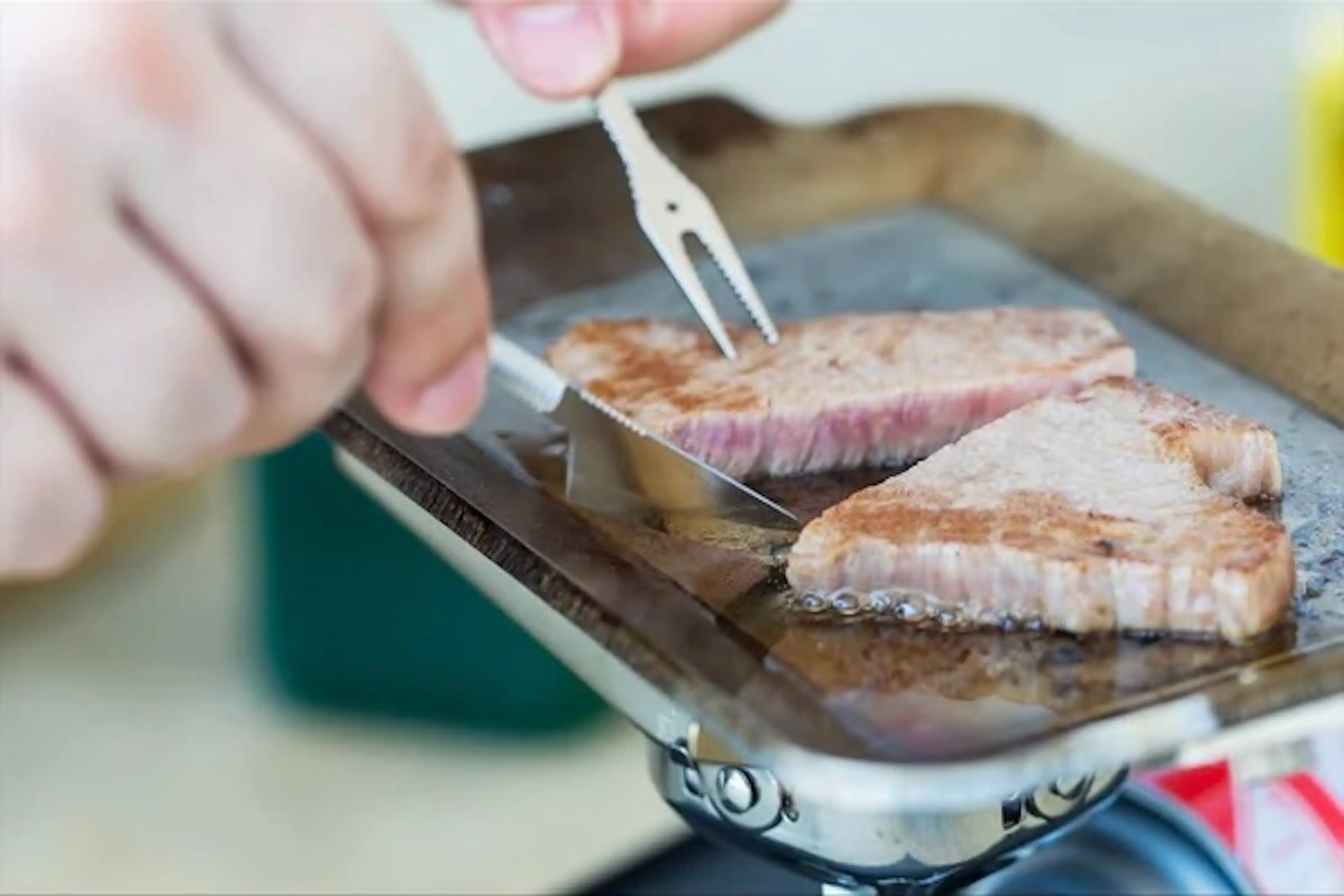 福善の「掌(たなごころ)」