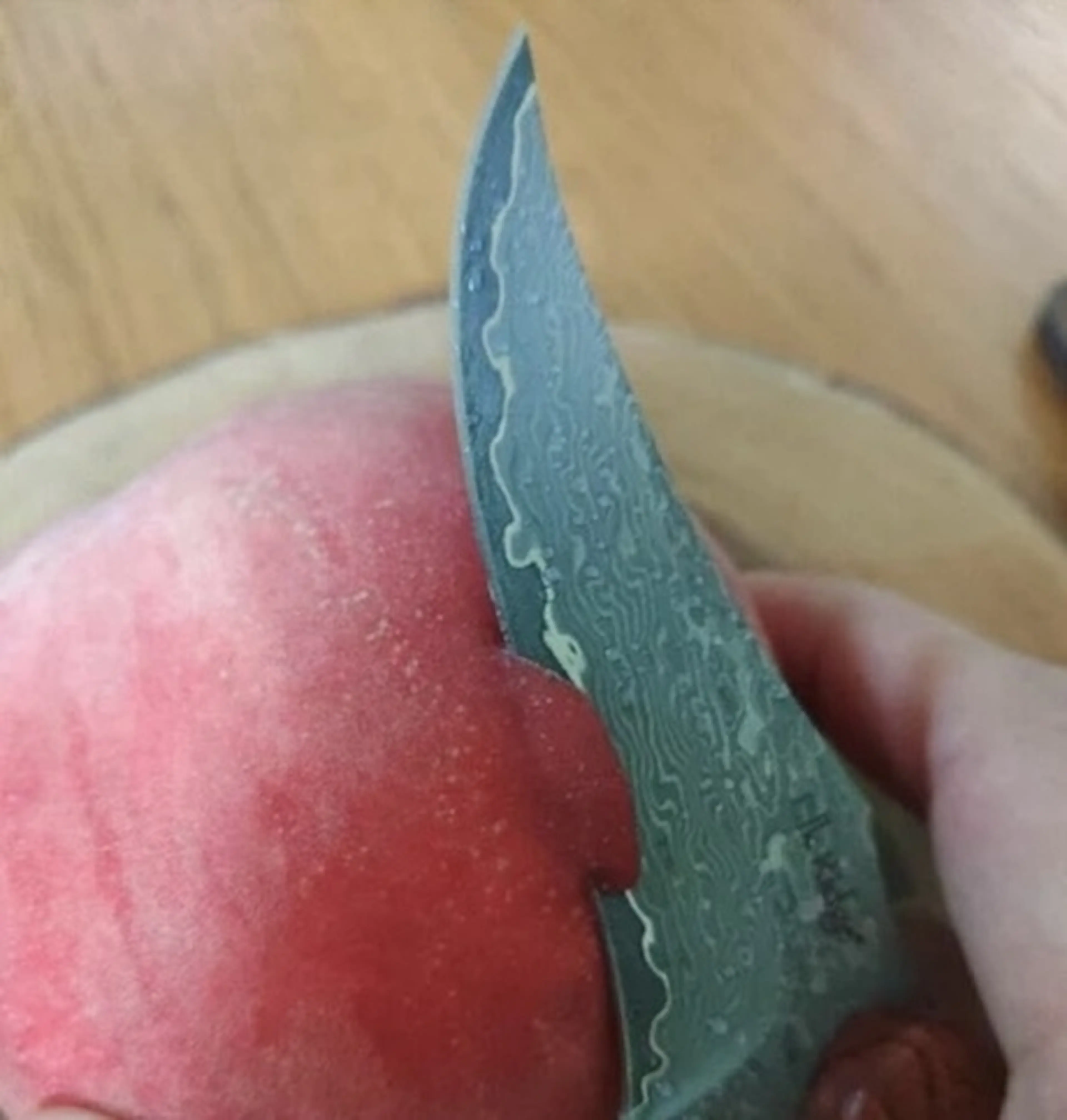 Elk Ridge Damascus Ⅱ