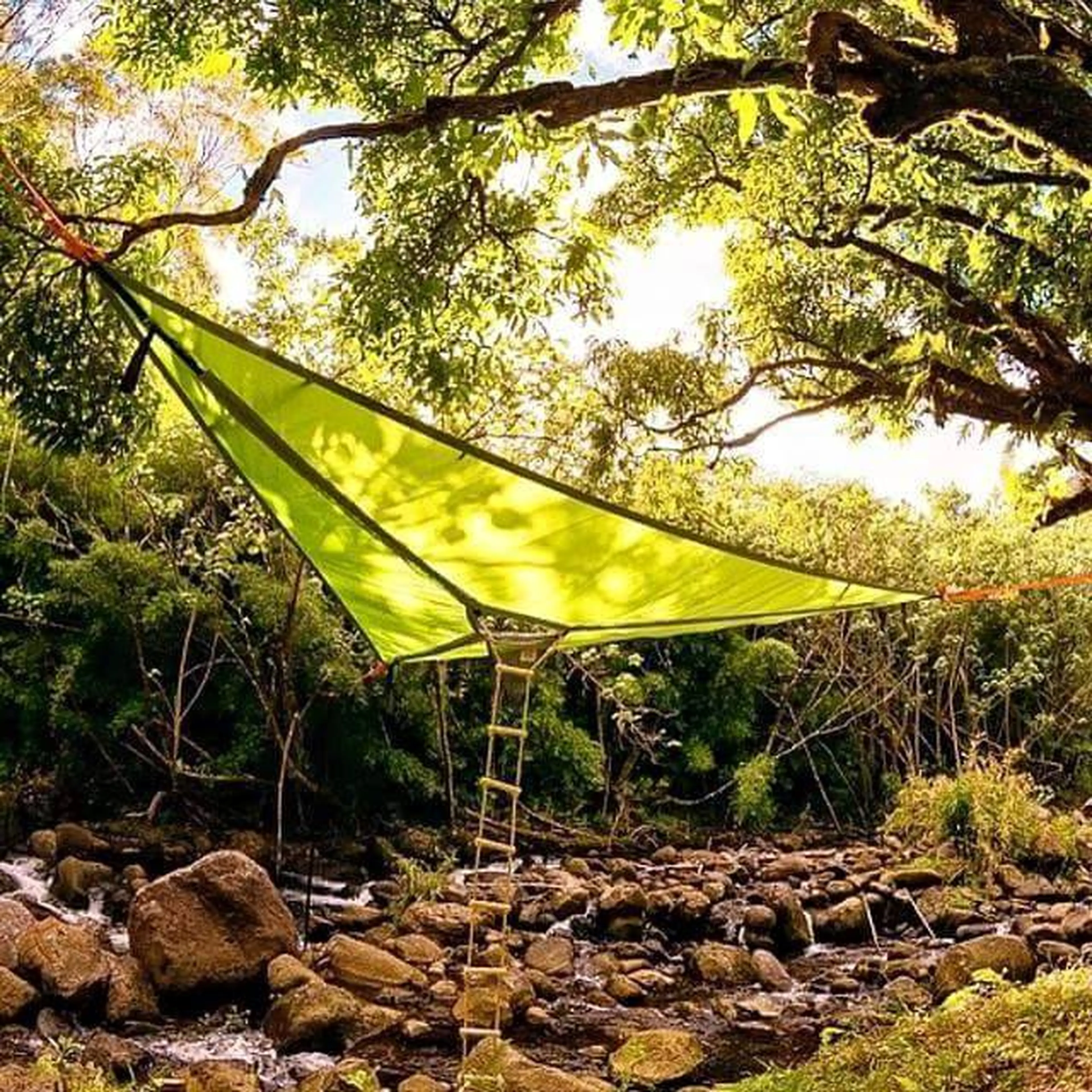 【希少】Tentsile テントサイル ツリーテント フライト ハンモック 宙に浮く新感覚テント テントサイルジャパン テントサイル トリ