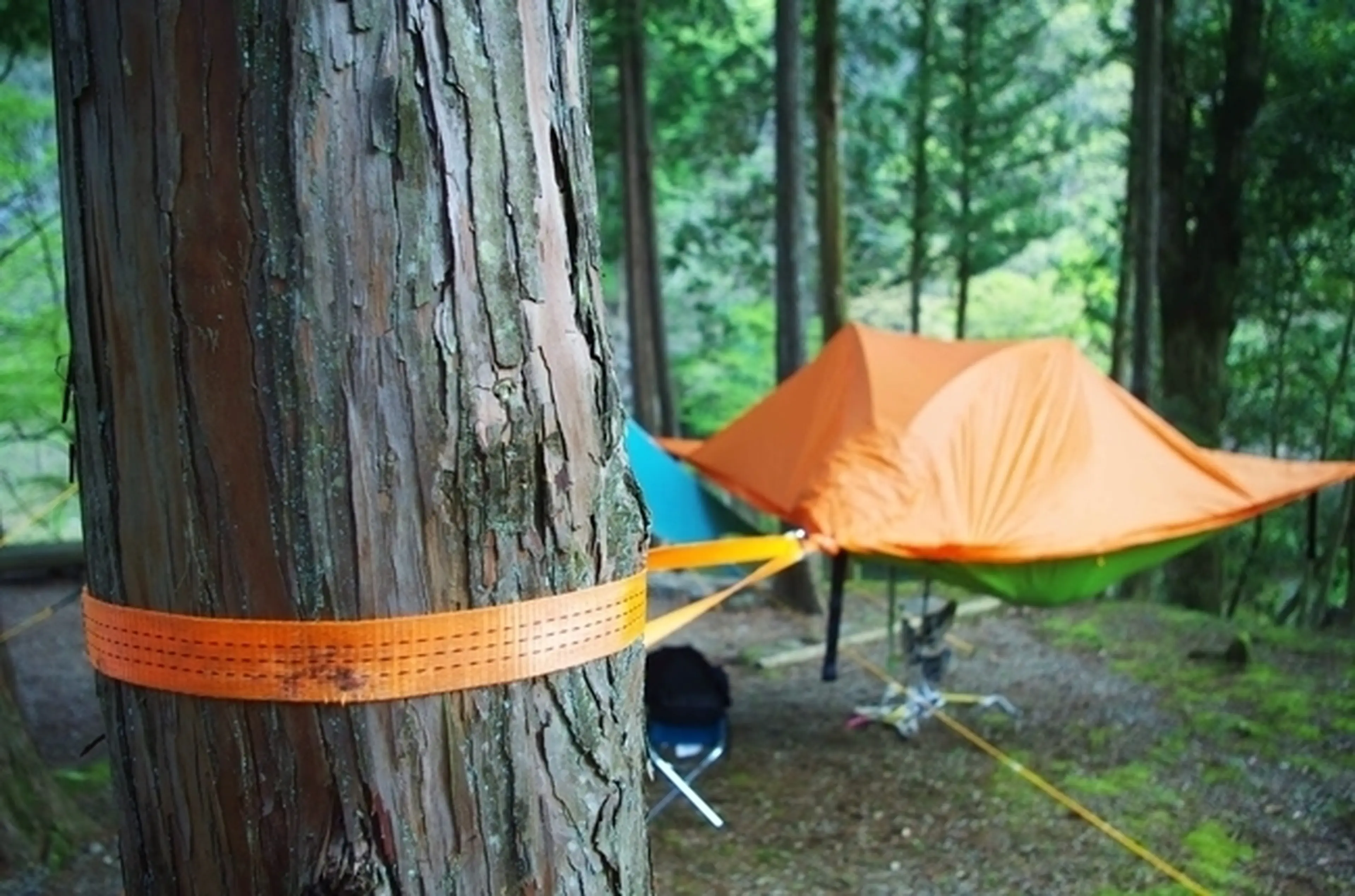 テントとハンモックが合体！？空中に浮く『テントサイル』が