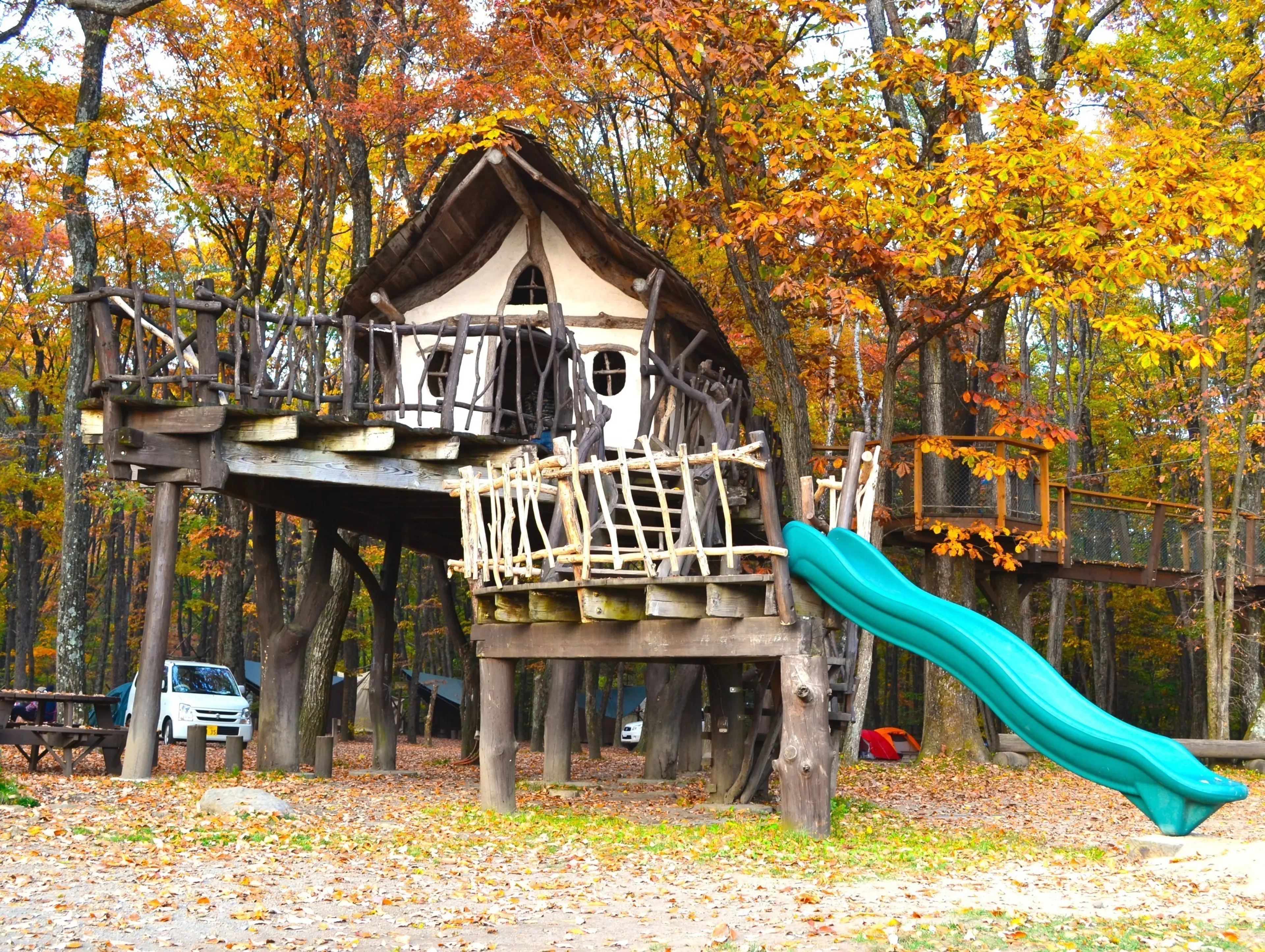まるごと手作り“ツリーハウス”に泊まろう♪北軽井沢スウィートグラスの