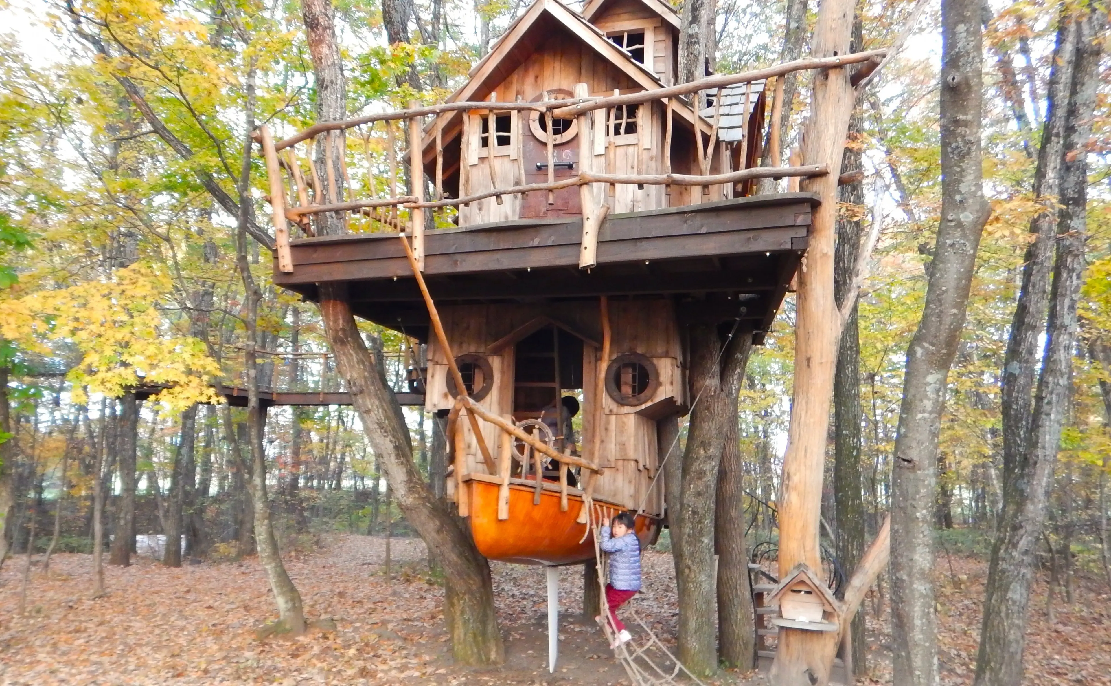まるごと手作り“ツリーハウス”に泊まろう♪北軽井沢スウィートグラスの