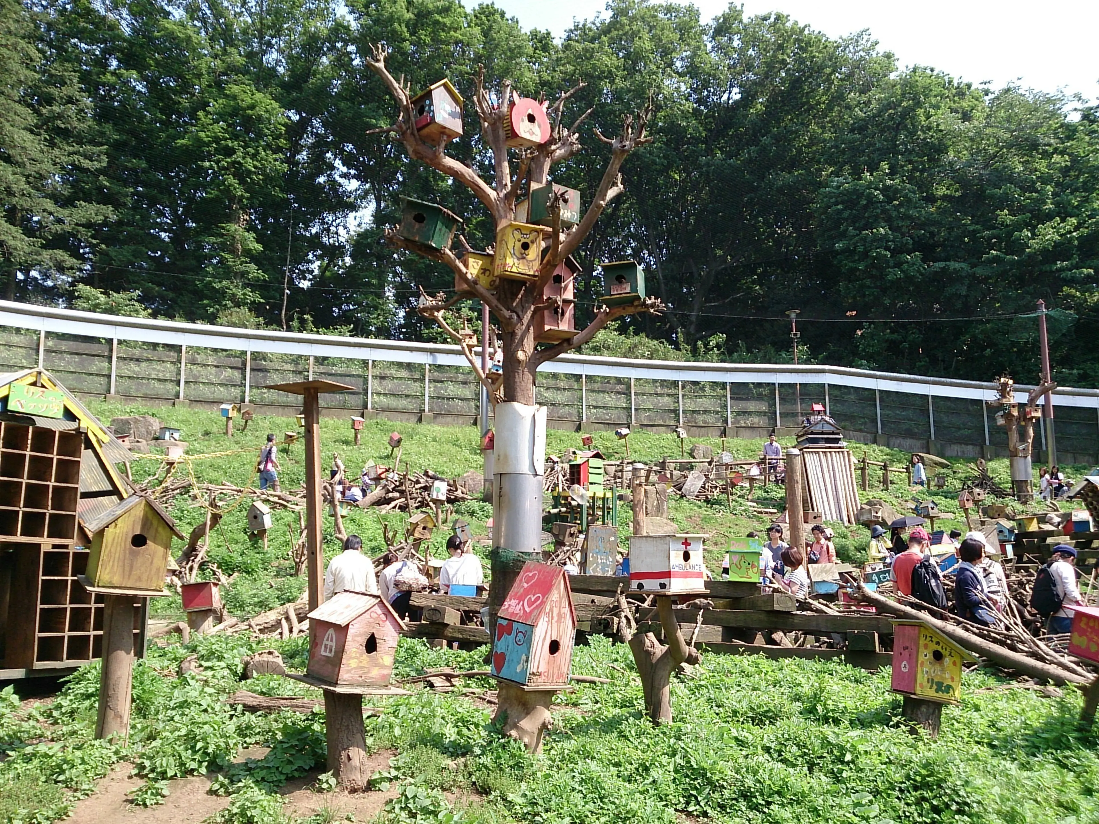 町田 リス 園
