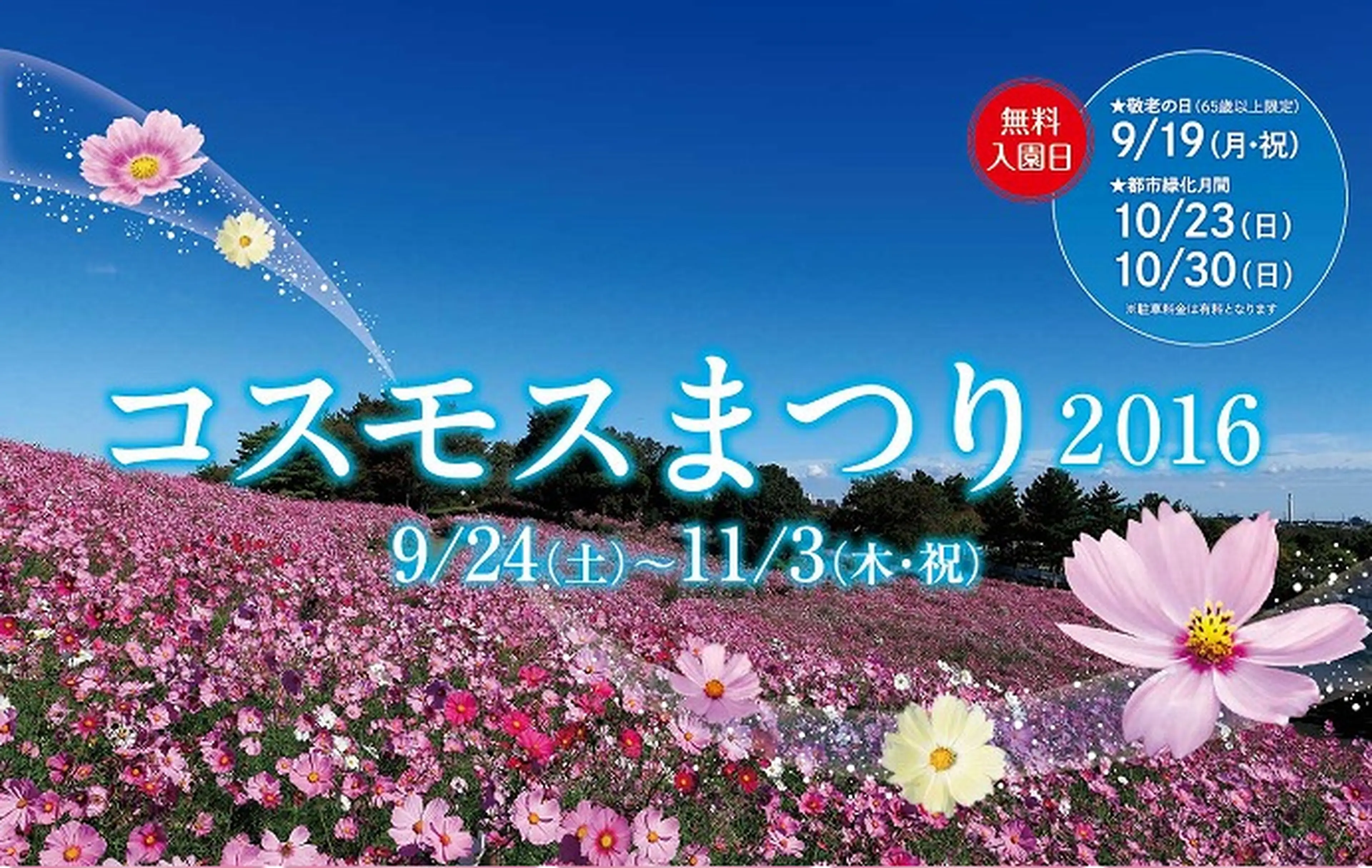 秋を満喫！昭和記念公園「コスモスまつり」でピクニックを楽しもう！ | キャンプ・アウトドア情報メディアhinata