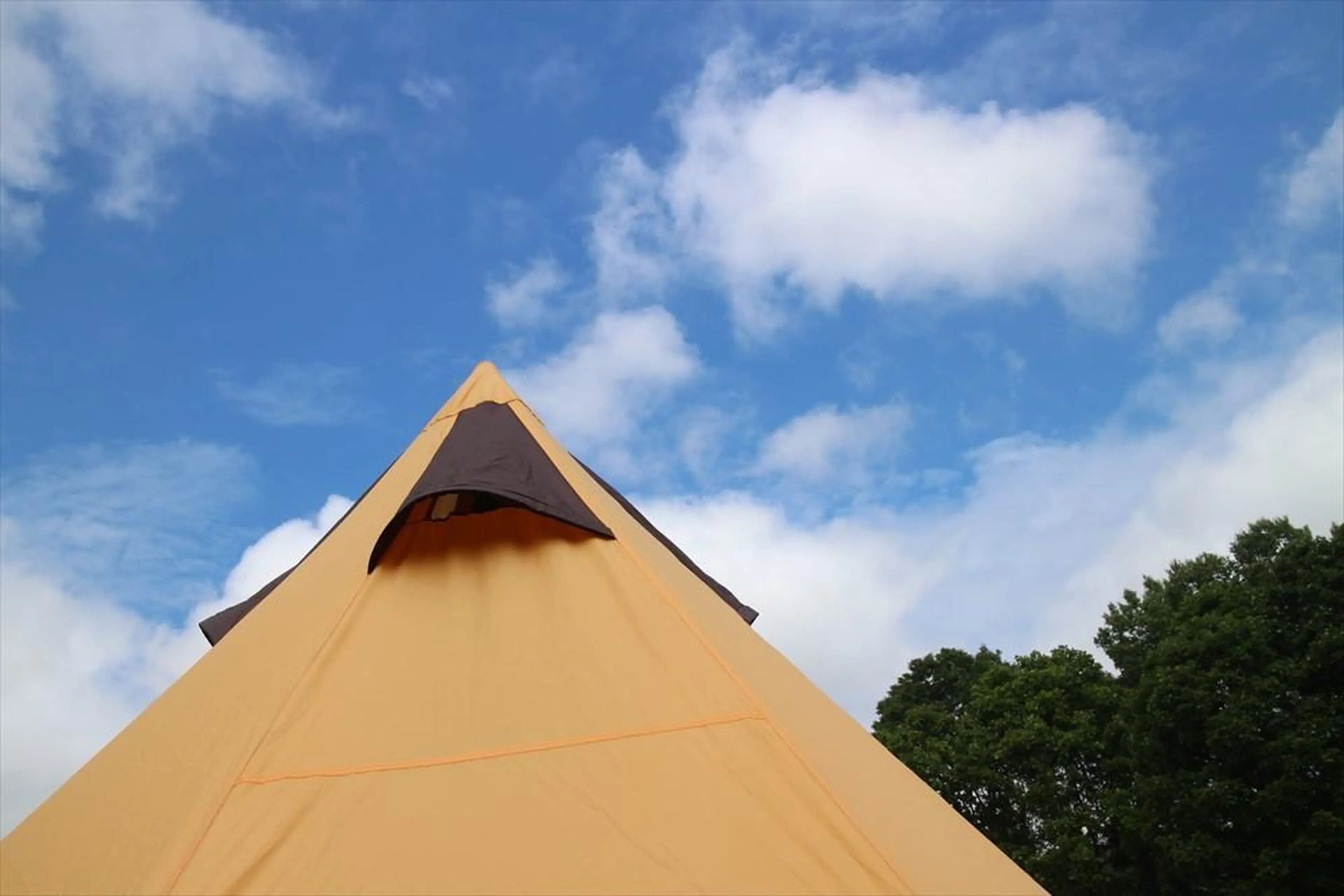 思わずSNSに投稿したくなるノースイーグルのワンポールテント♪抜群に