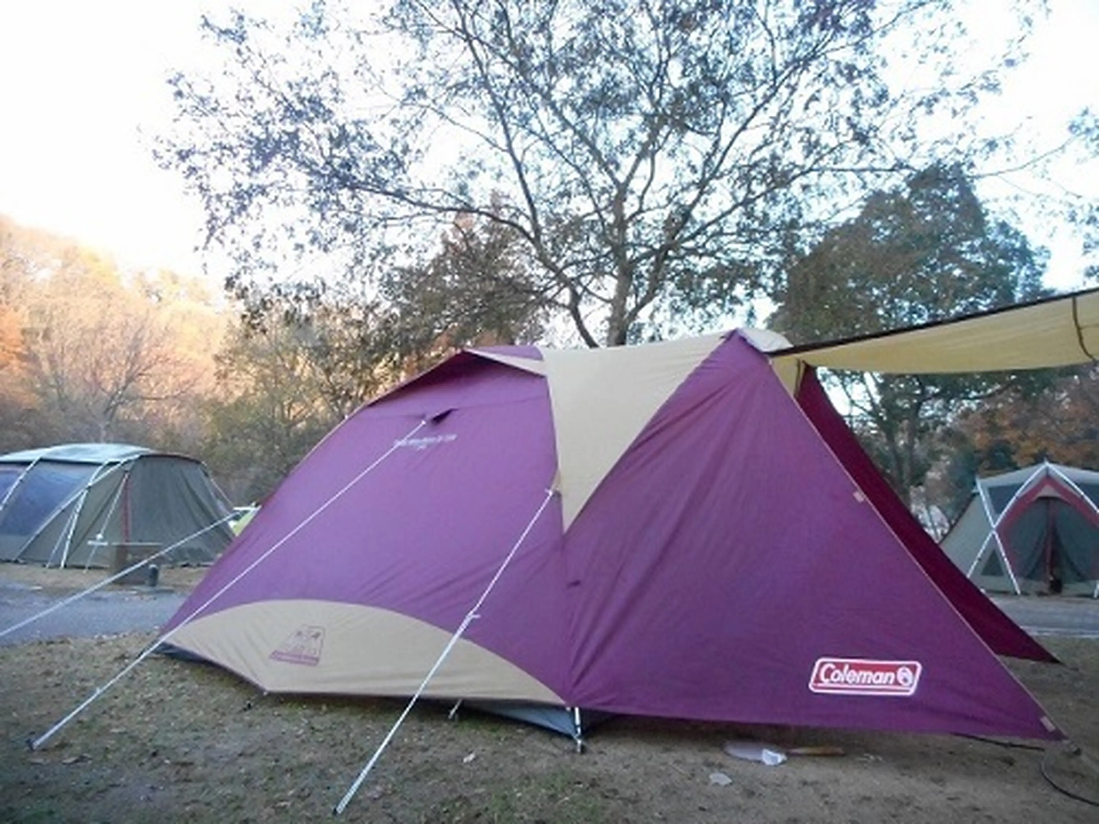 我が家の愛用ギア】夏はケシュアのテントでさくっと設営♪ | キャンプ