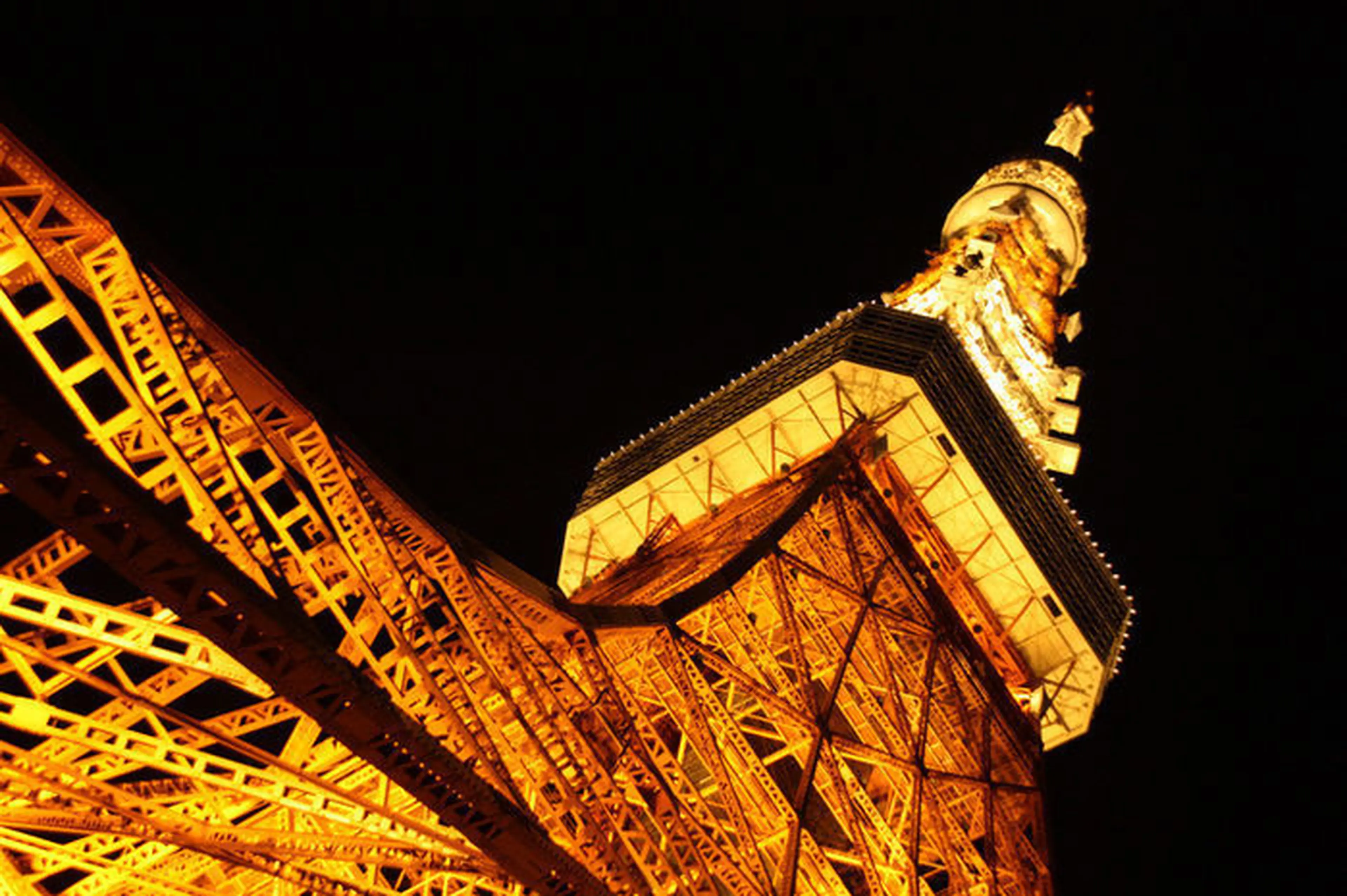 家族でお花見を快適にする4つのコツとおすすめのお花見スポット紹介