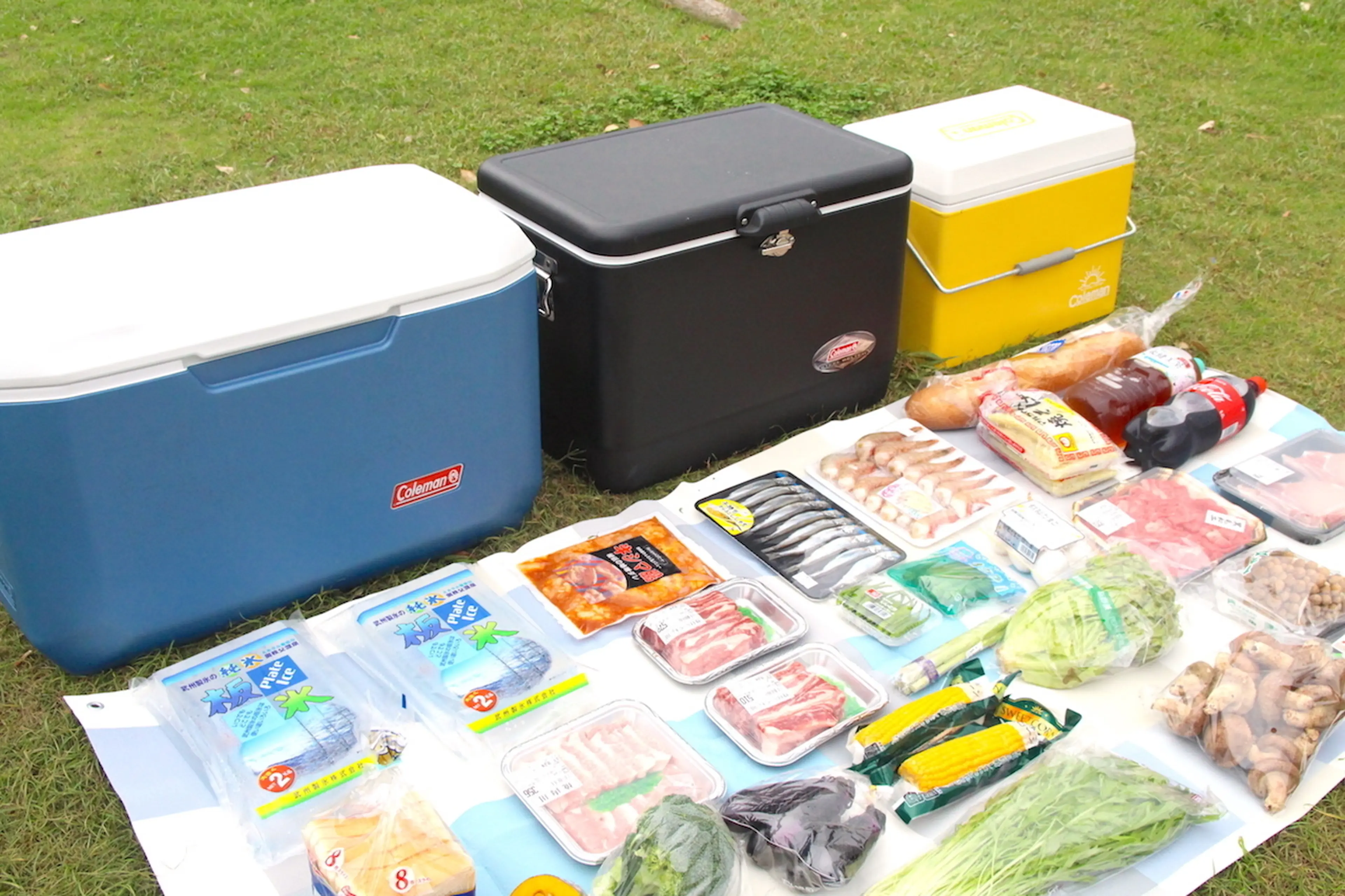 検証！】キャンプのクーラーボックスのサイズ選び、ぴったりのサイズは  