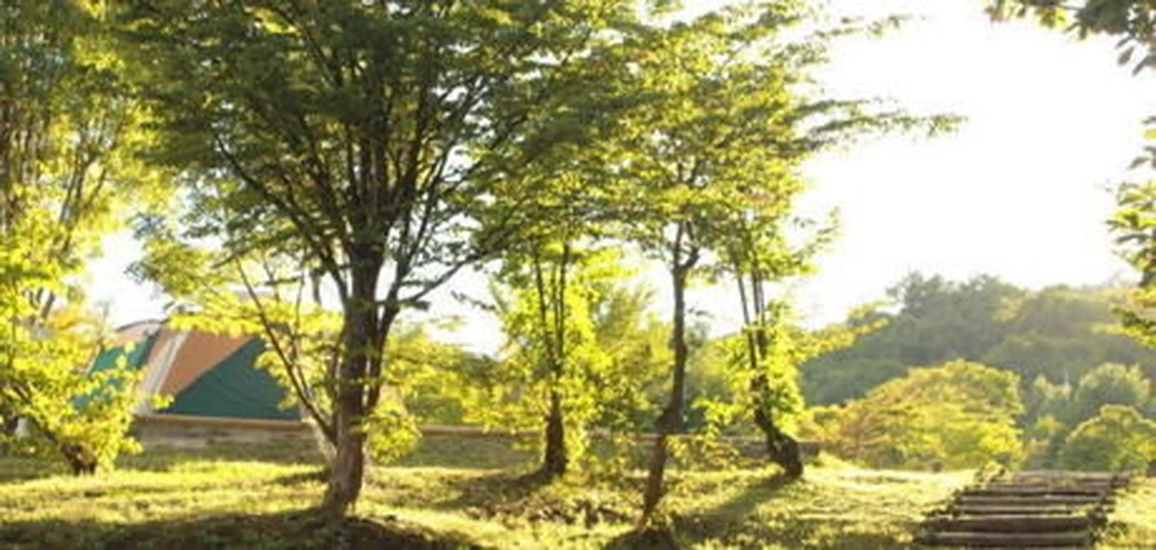 恩原高原オートキャンプ場の景観