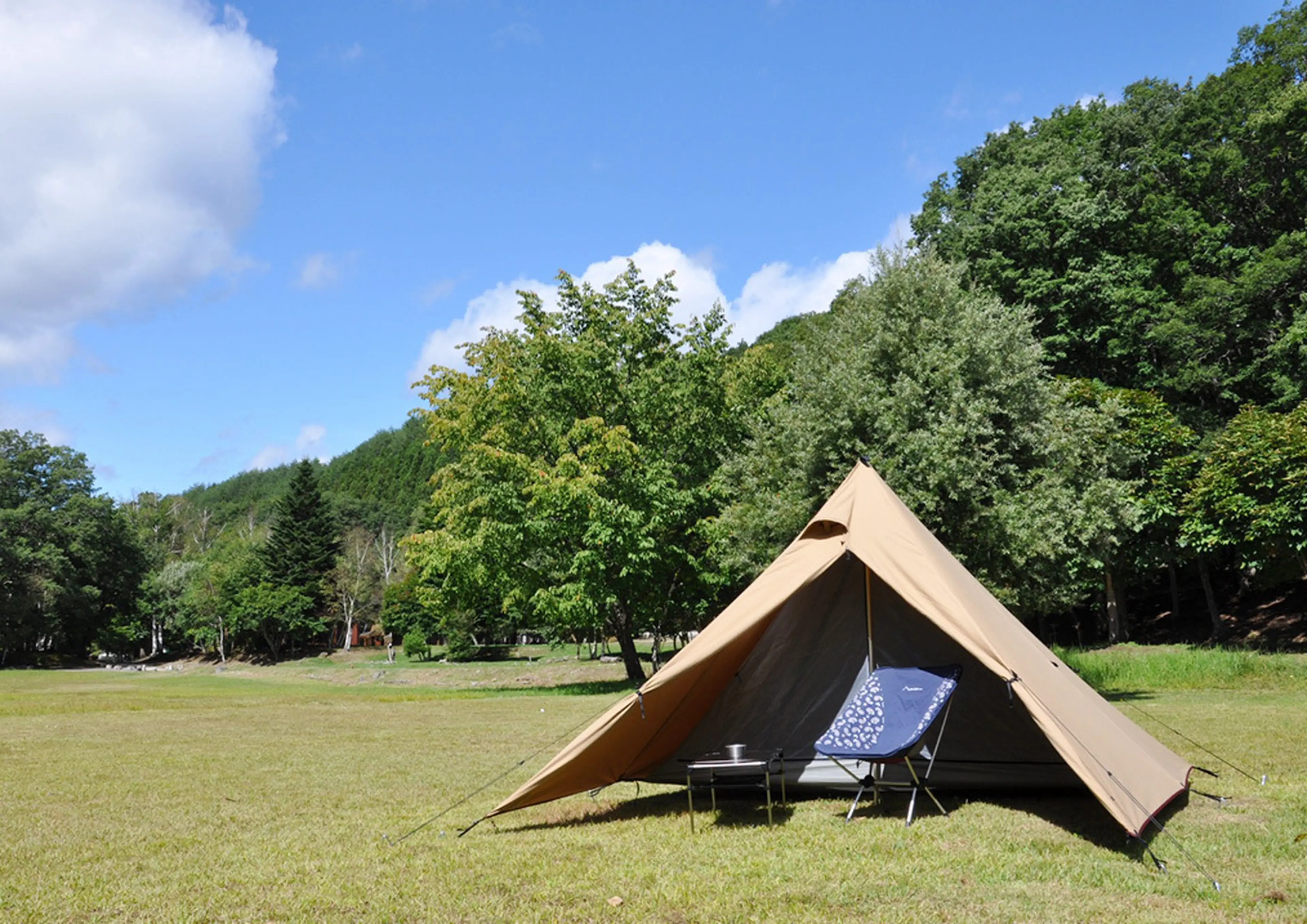 希少テンマクデザイン サーカスコットン （テンマクデザインのテント  