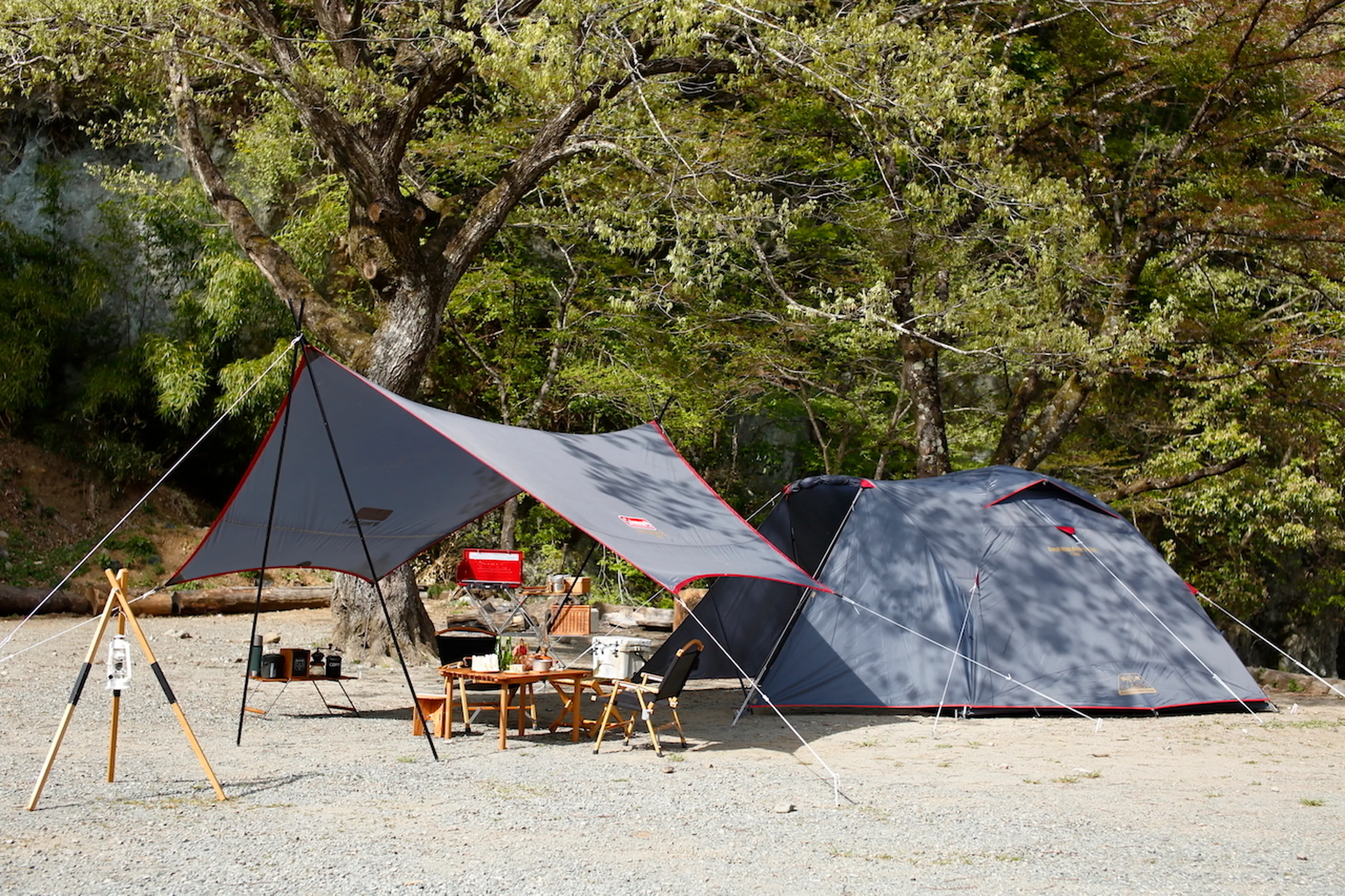 ゼビオグループ限定】あのタフワイドドームが「大人カラー」に！初心者