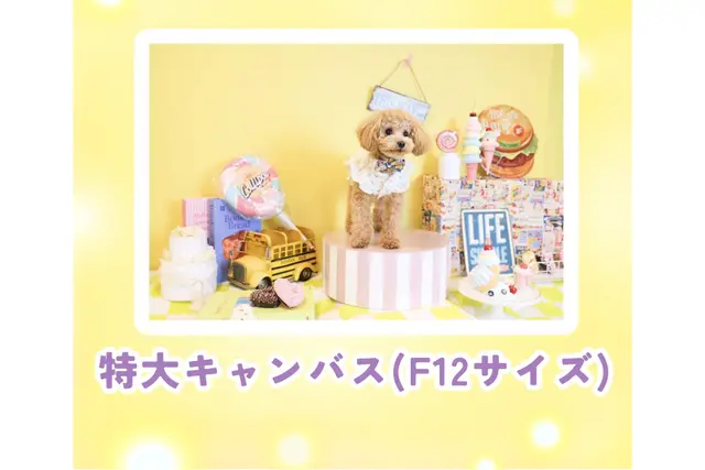 【30】Studio talo「特大キャンバス(F12サイズ) 」